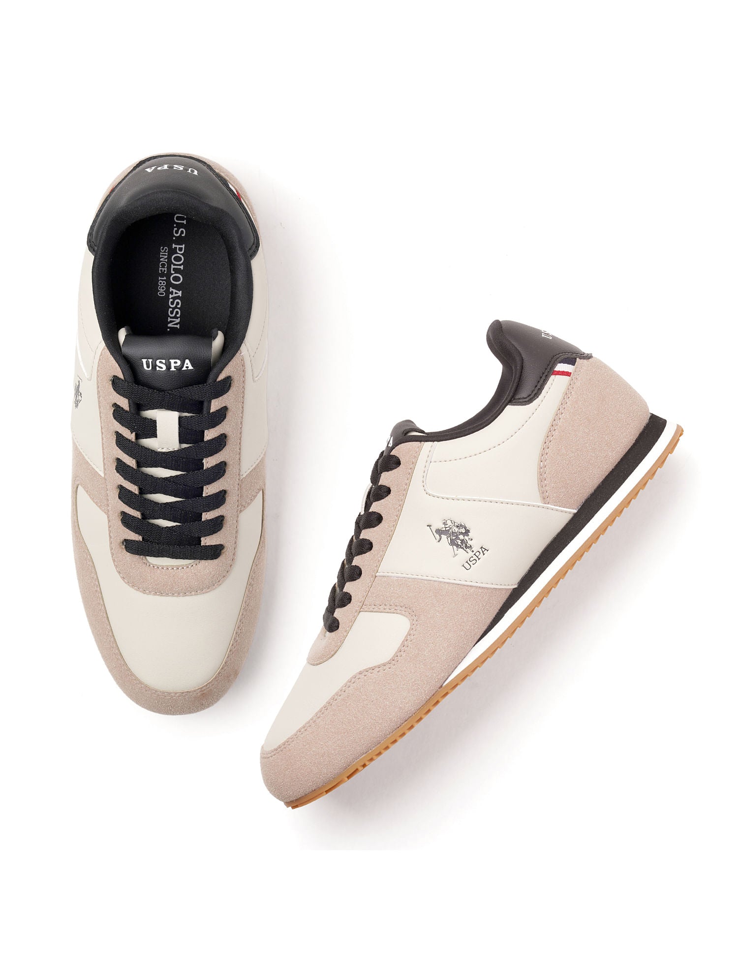 Men Enco Sneakers Beige - U.S. POLO ASSN. | Large