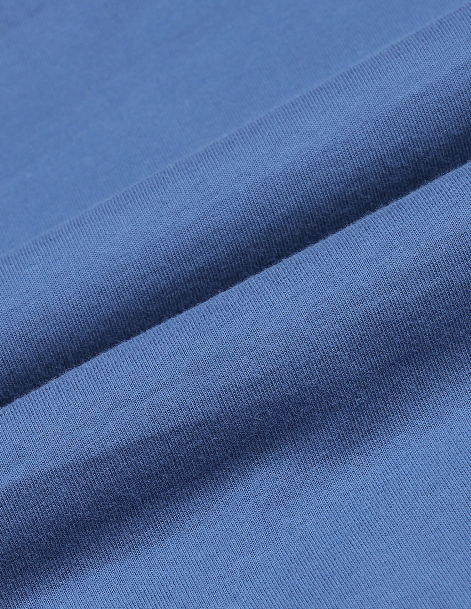 Brand Printed Regular Fit T-Shirt Blue - U.S. Polo Assn. India | Large