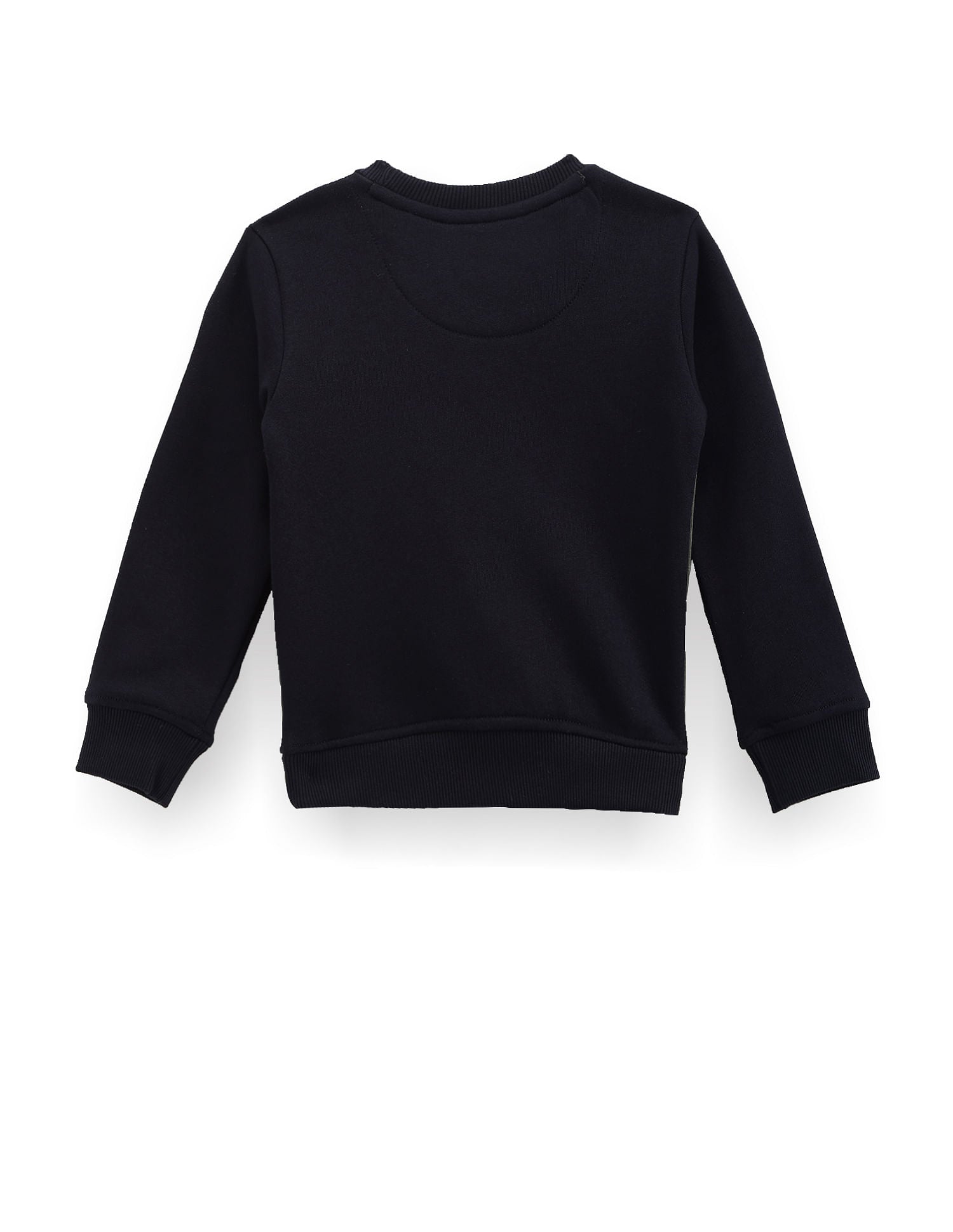 Boys Color Block Sweatshirt Olive - U.S. POLO ASSN. | Large