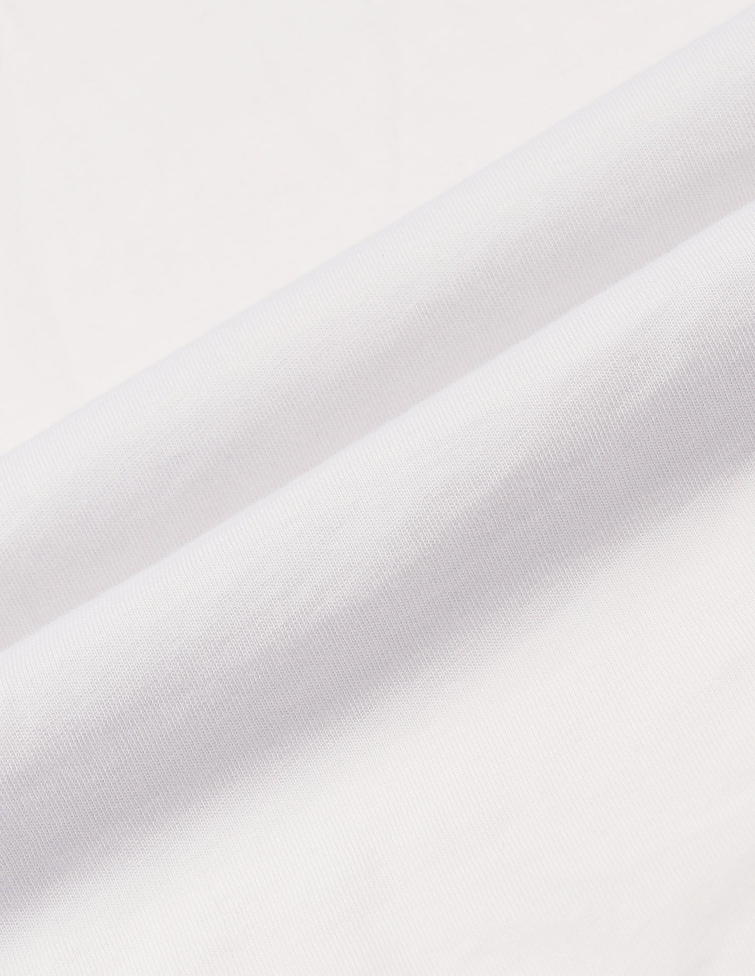 Brand Printed Muscle Fit T-Shirt White - U.S. Polo Assn. India | Large