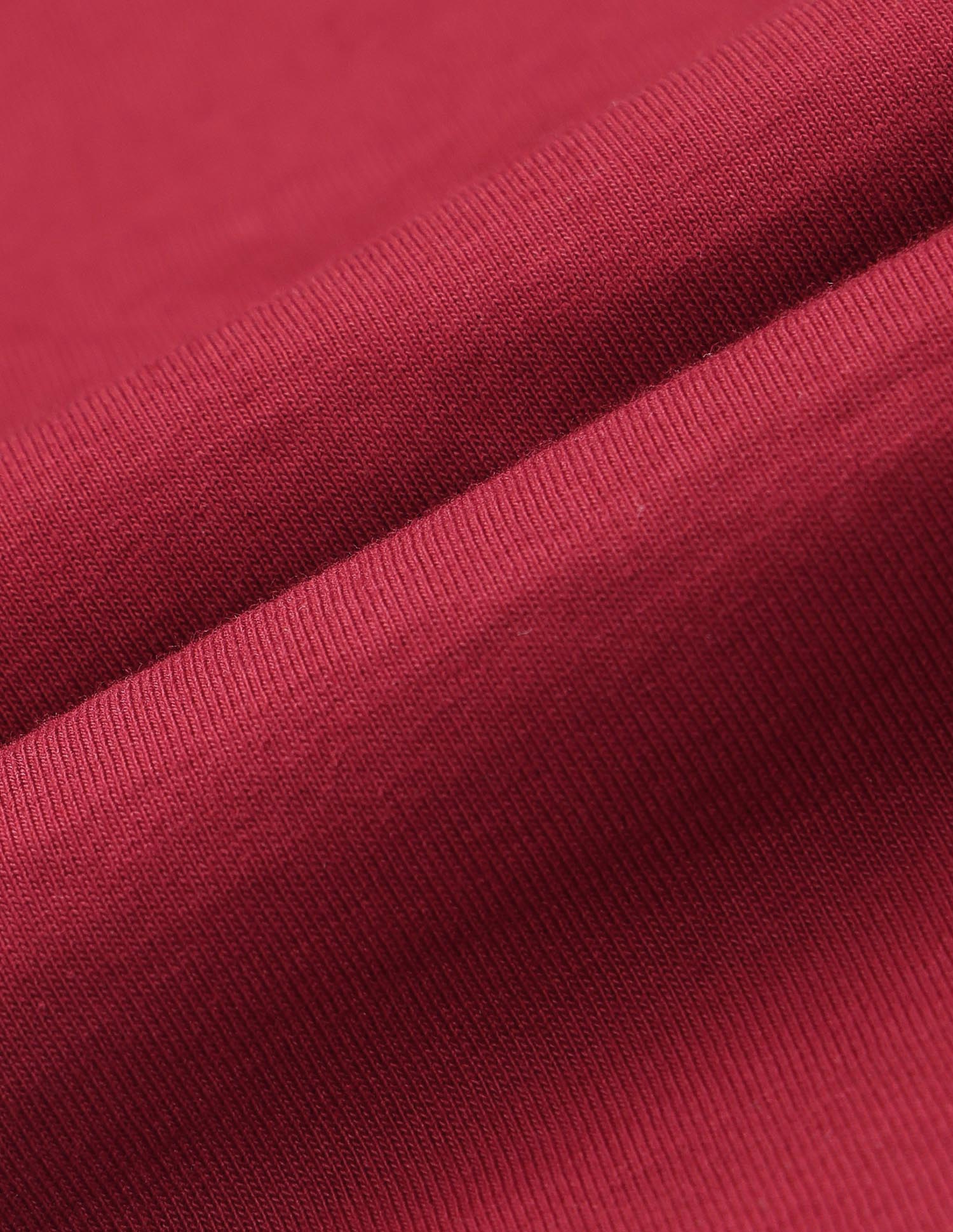 Boys Brand Embossed Pure Cotton T Shirt Dark Red - U.S. POLO ASSN. | Large