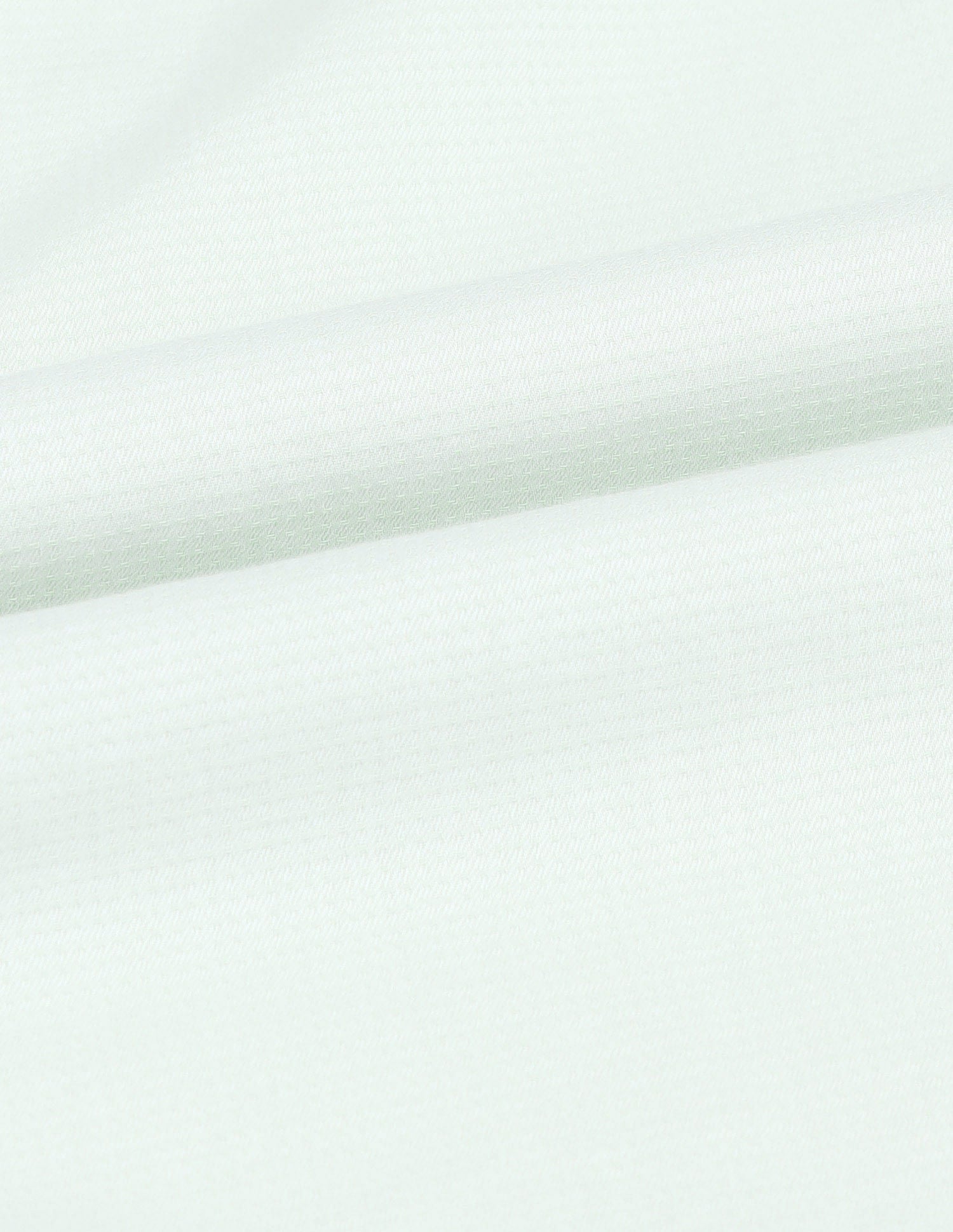 Tailored Fit Pure Cotton Shirt Light Green - U.S. Polo Assn. India | Large