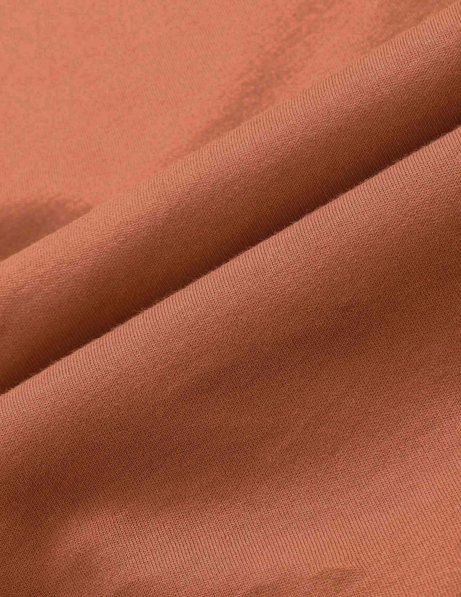 Regular Fit Solid Polo Shirt Rust - U.S. POLO ASSN. | Large