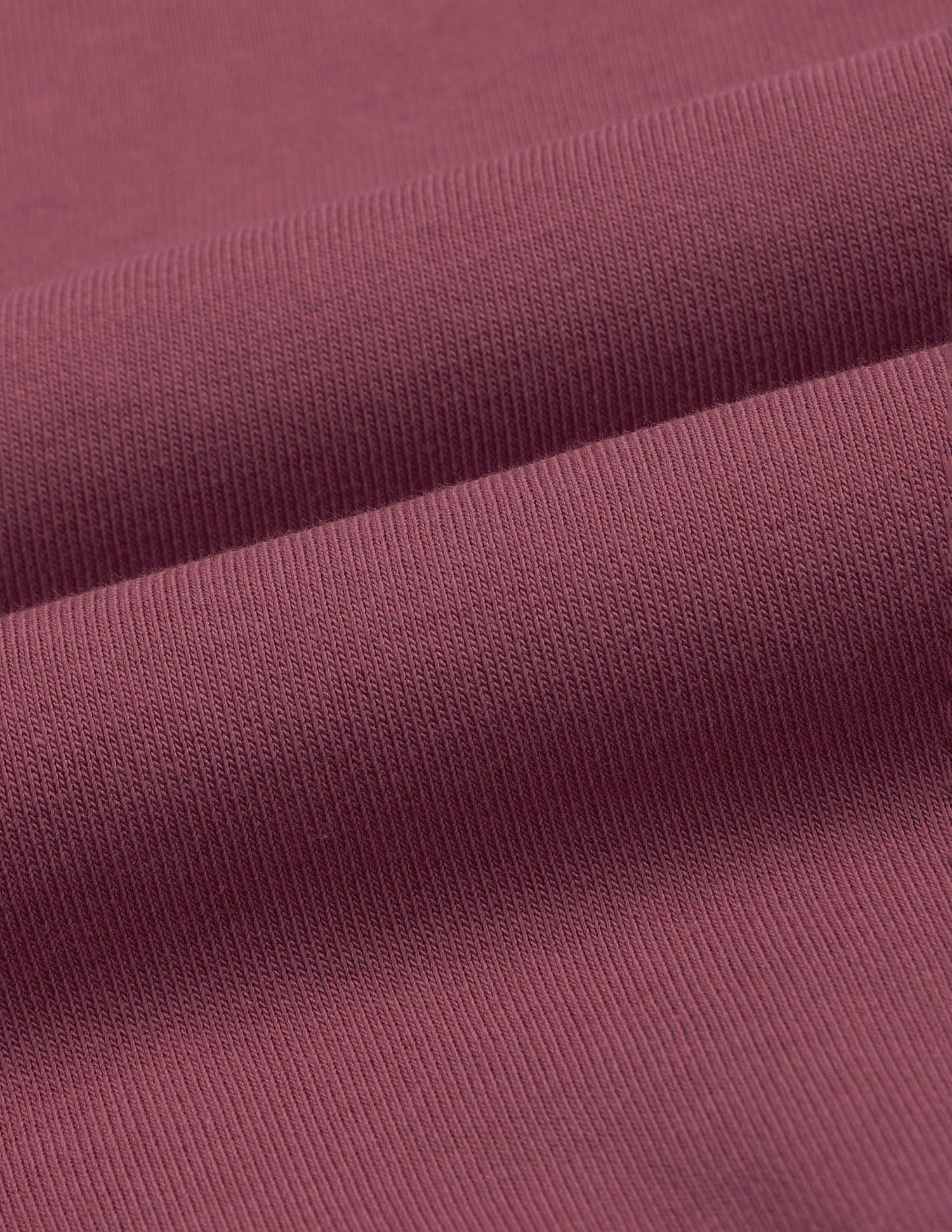 Brand Print Raglan Sleeve Sweatshirt Pink - U.S. POLO ASSN. | Large