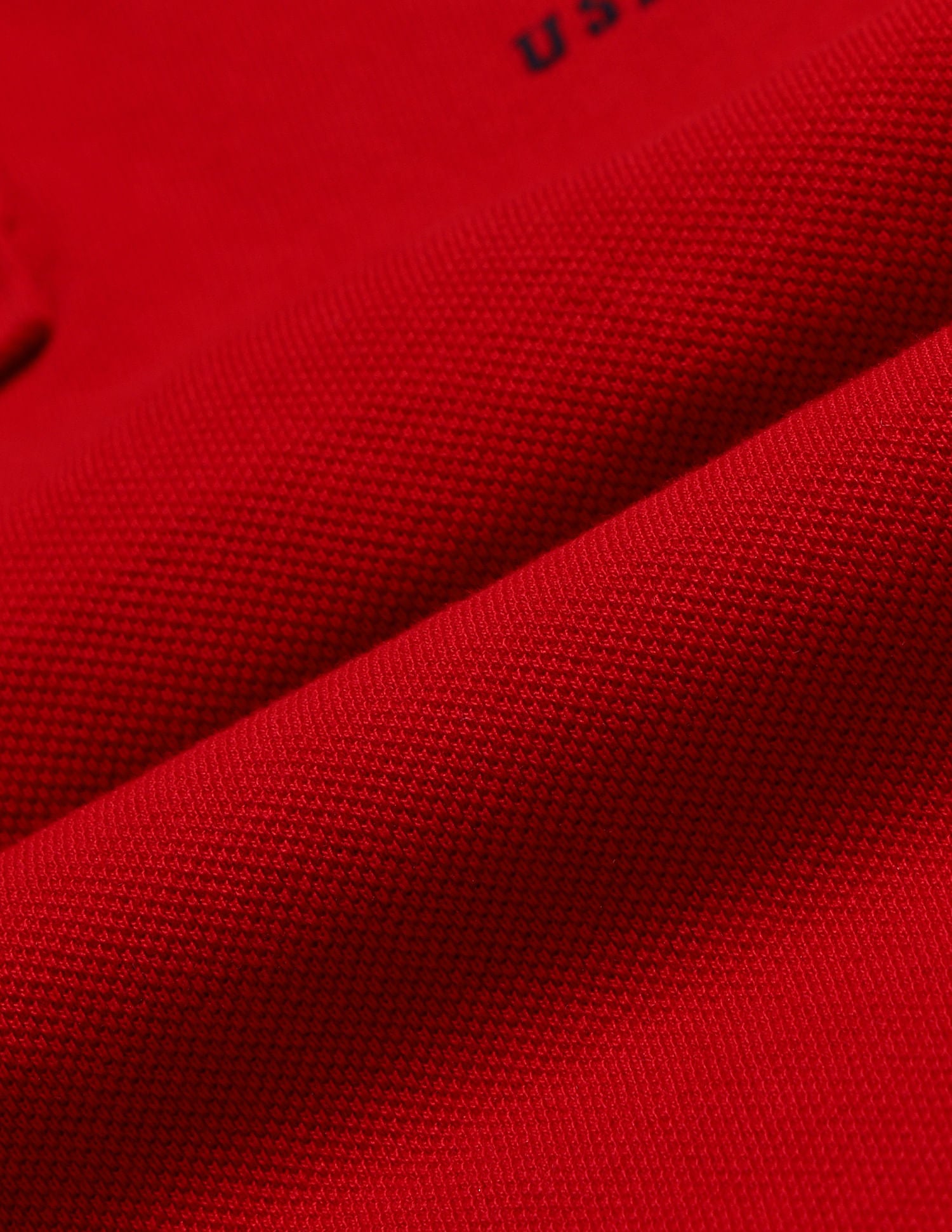 Boys Cotton Printed Polo Shirt Red - U.S. Polo Assn. India | Large