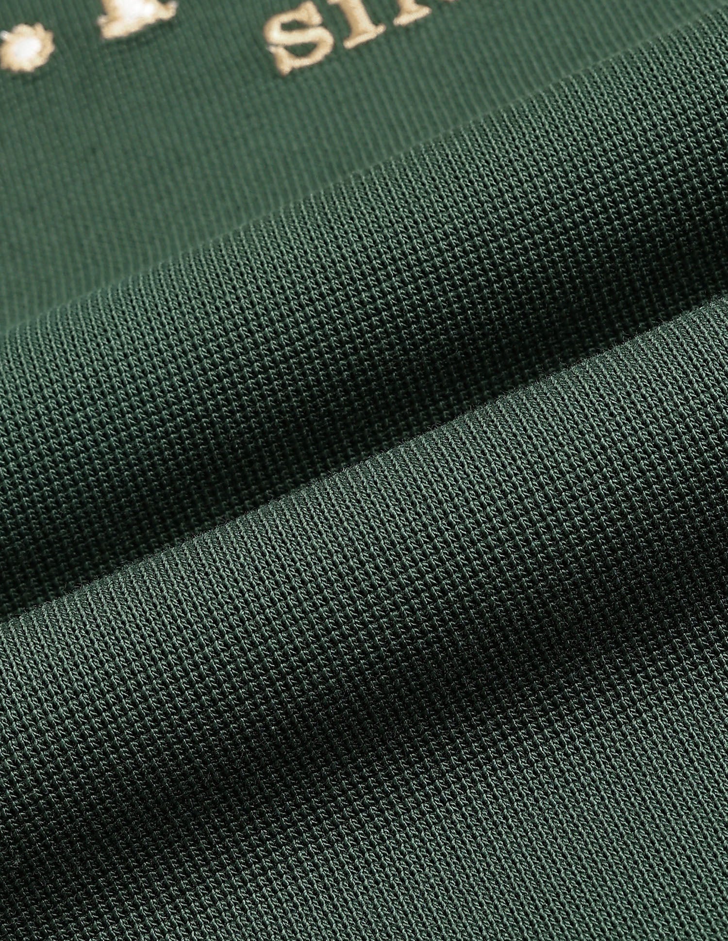 Brand Embroidered Slim Fit Polo Shirt Green - U.S. Polo Assn. India | Large