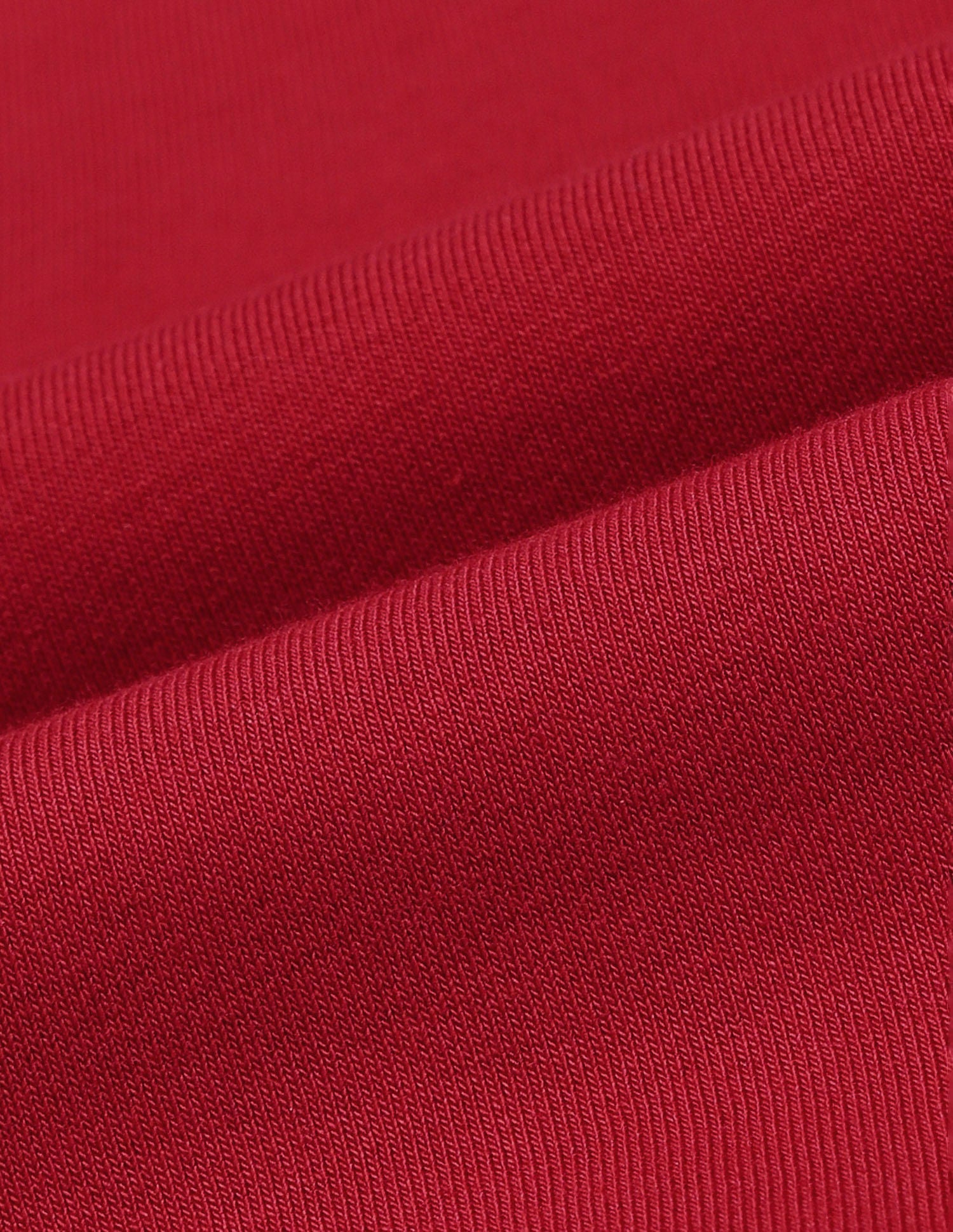 Solid Regular Fit Sweatshirt Red - U.S. Polo Assn. India | Large