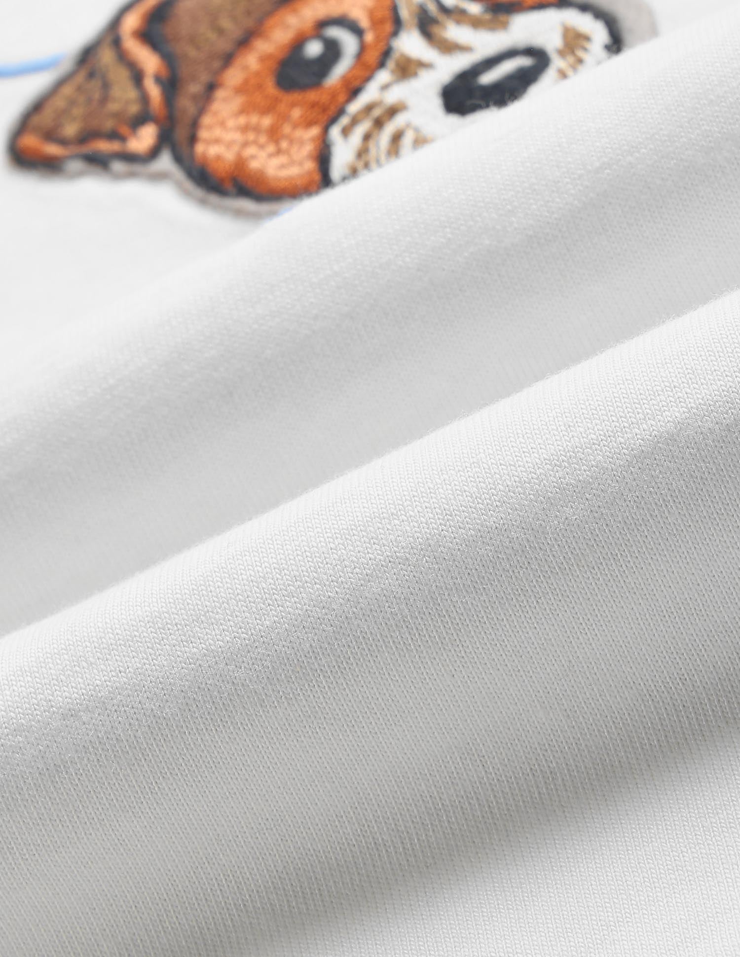 Brand Embroidered Regular Fit T-Shirt White - U.S. Polo Assn. India | Large