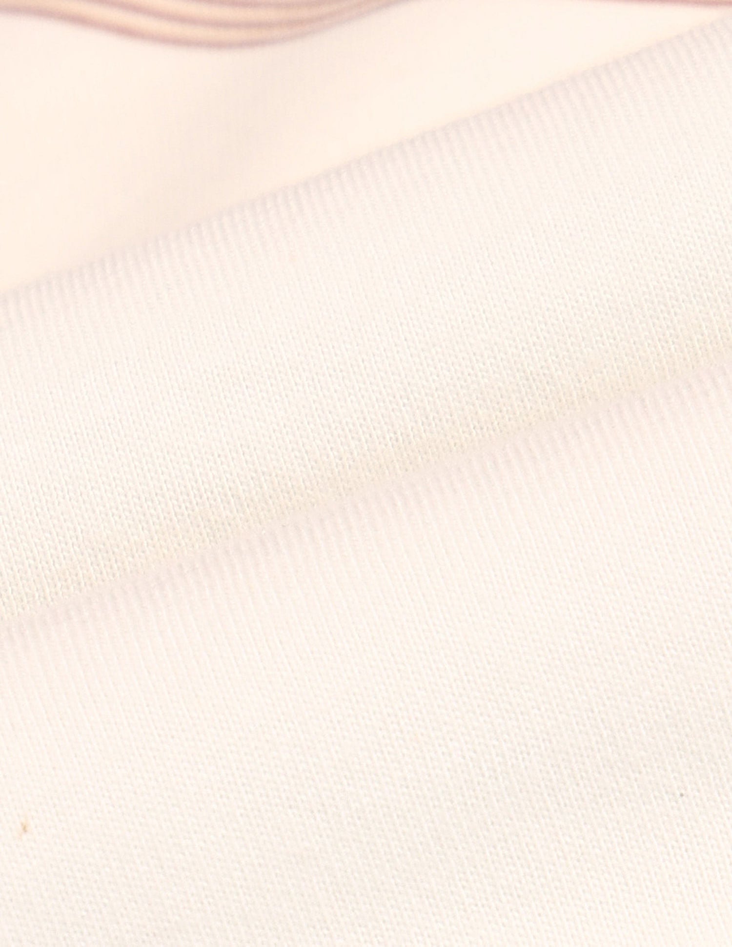 Collegiate Muscle Fit Brand T-Shirt Ivory - U.S. POLO ASSN. | Large