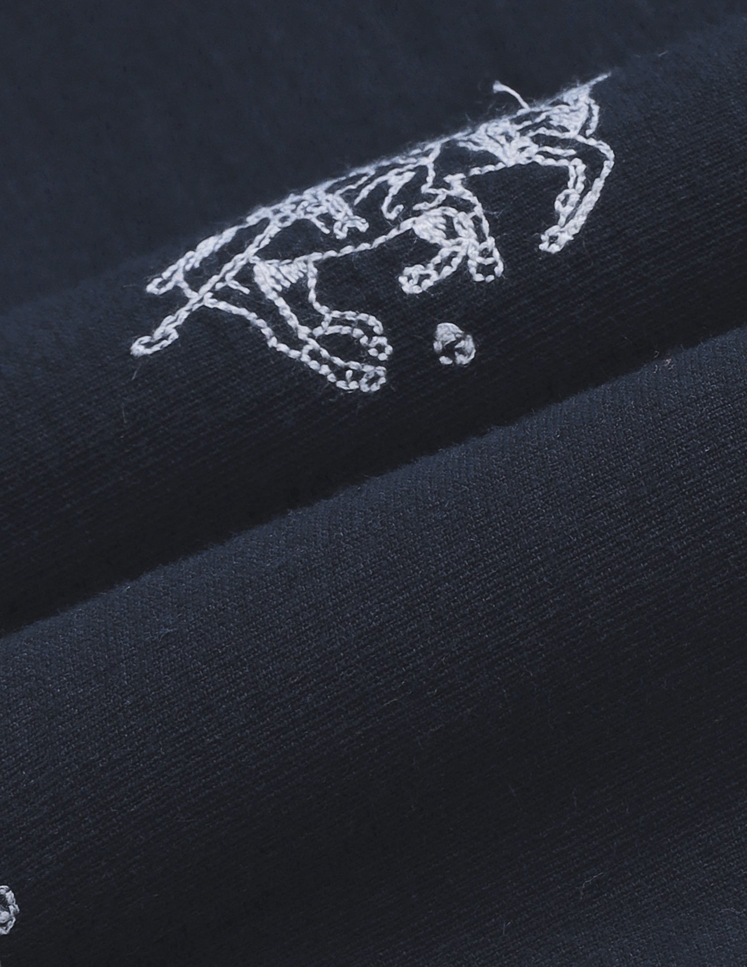 Graphic Brand Embroidered Regular Fit Shirt Navy - U.S. Polo Assn. India | Large