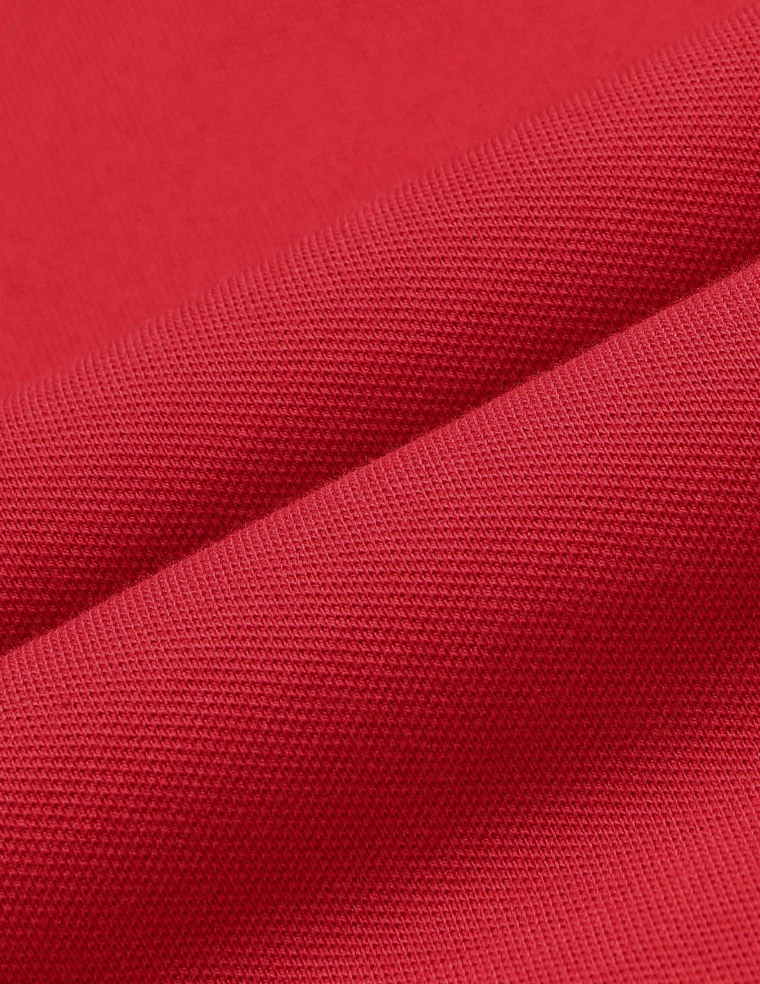 Regular Fit Solid Polo Shirt Red - U.S. Polo Assn. India | Large