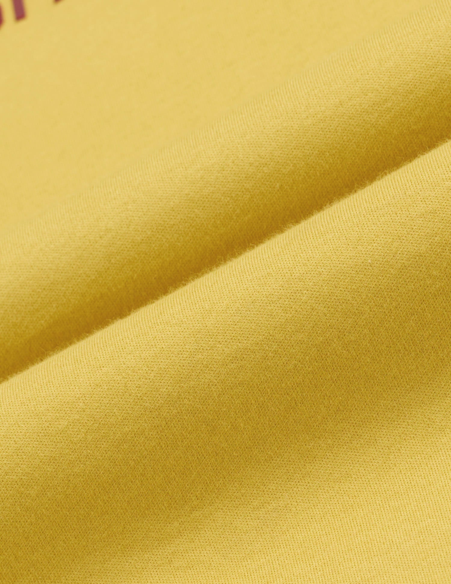 Brand Printed Relaxed T-Shirt Yellow - U.S. Polo Assn. India | Large