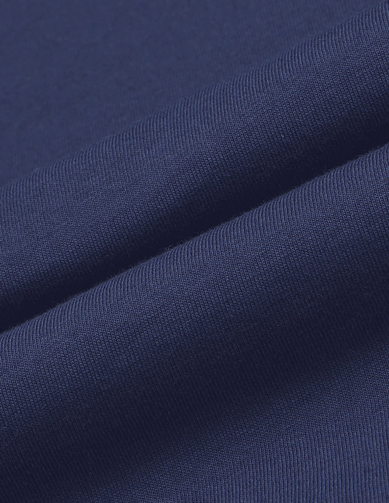 Regular Fit Brand Printed T-Shirt Blue - U.S. Polo Assn. India | Large