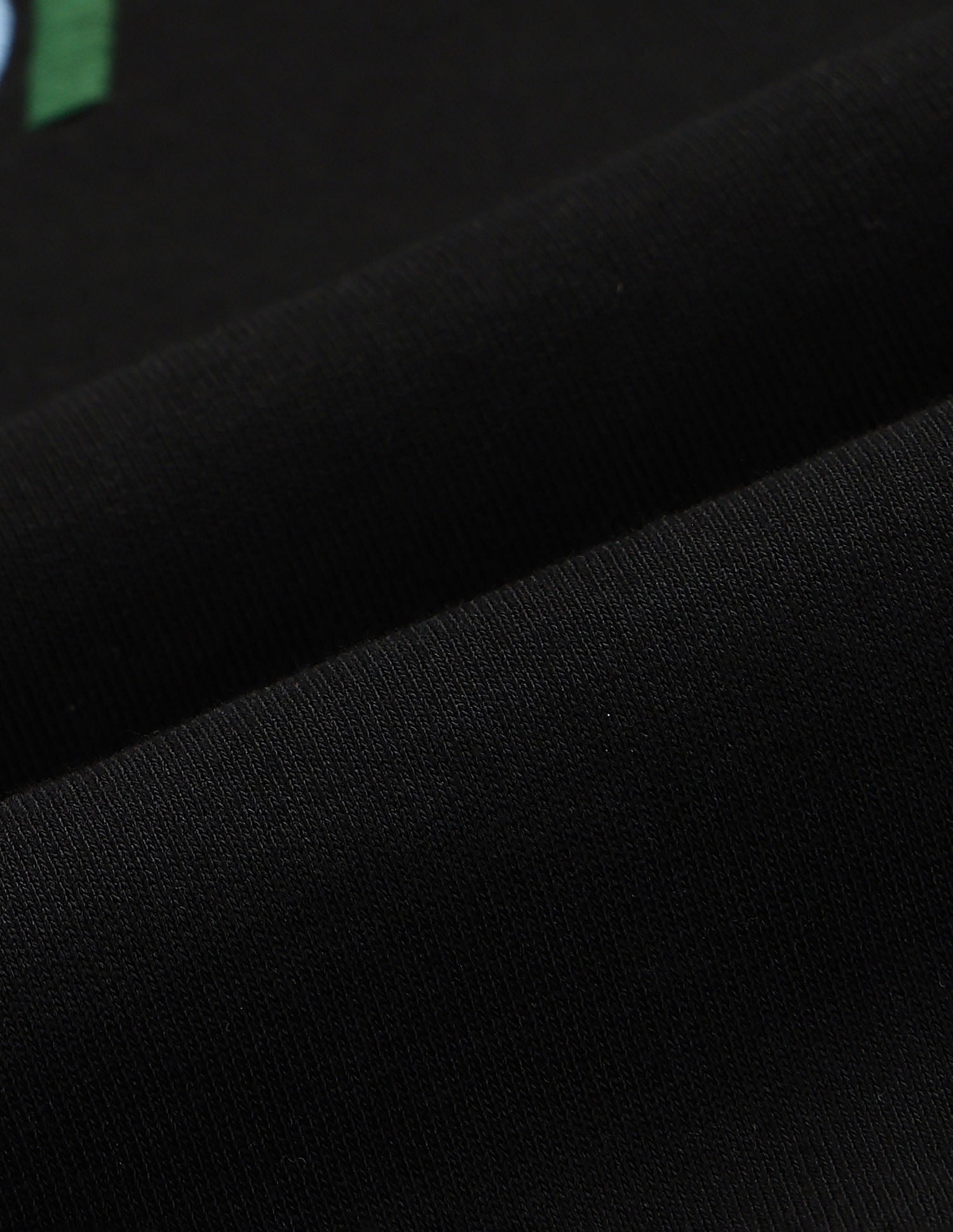 Brand Embroidered Sweatshirt Black - U.S. POLO ASSN. | Large