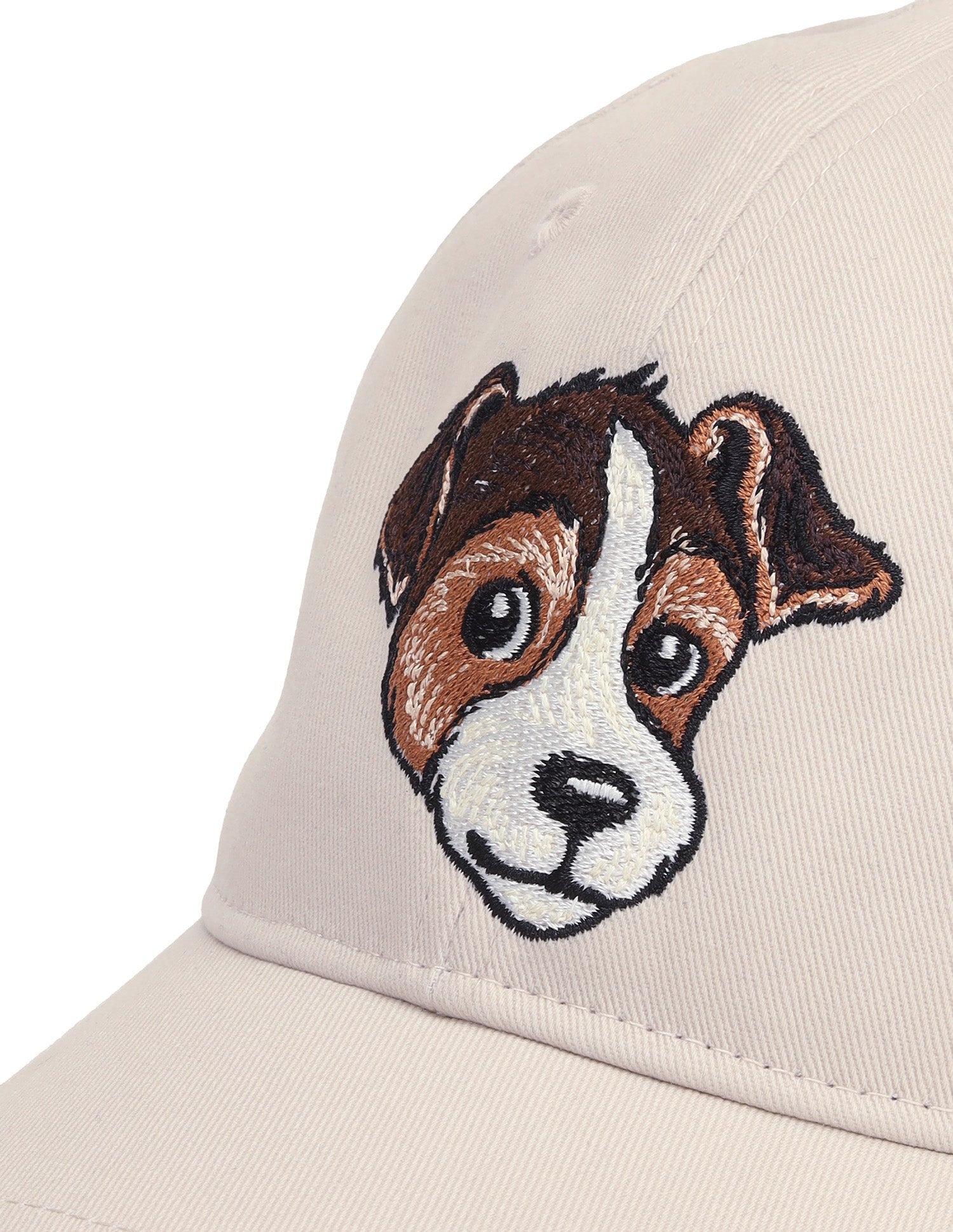Embroidered Twill Cap Beige - U.S. Polo Assn. India | Large