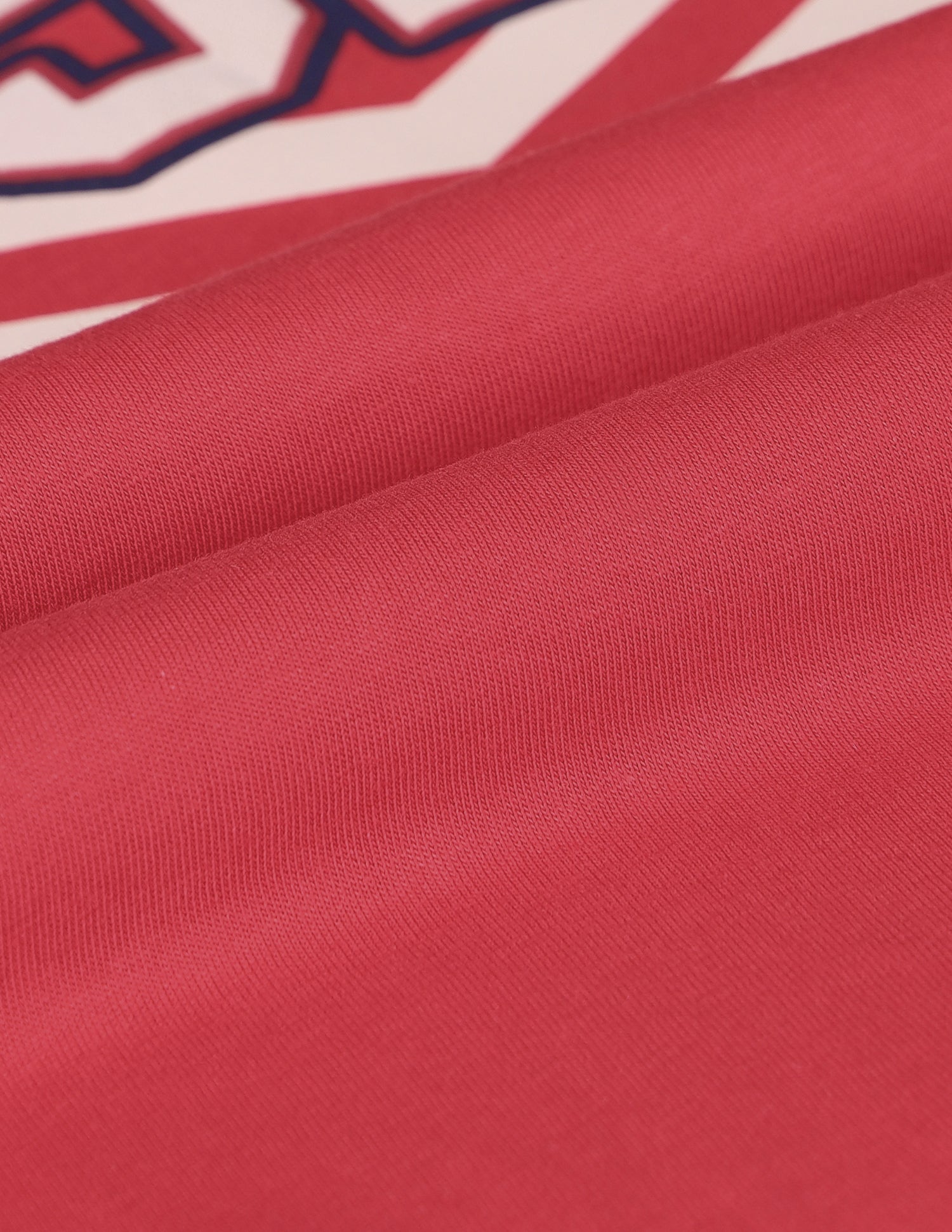 Boys Cotton Regular Fit T-Shirt Maroon - U.S. POLO ASSN. | Large