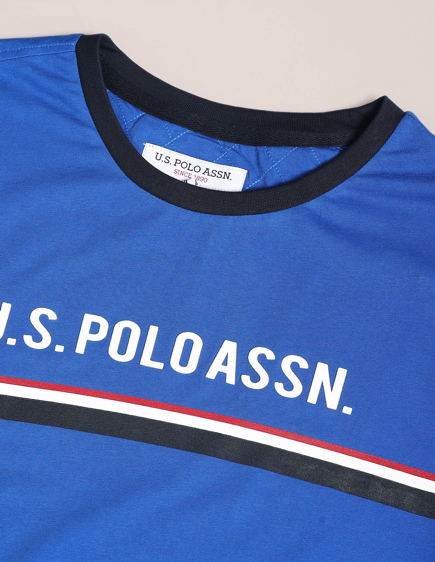 Brand Stripe Cotton T-Shirt Blue - U.S. Polo Assn. India | Large