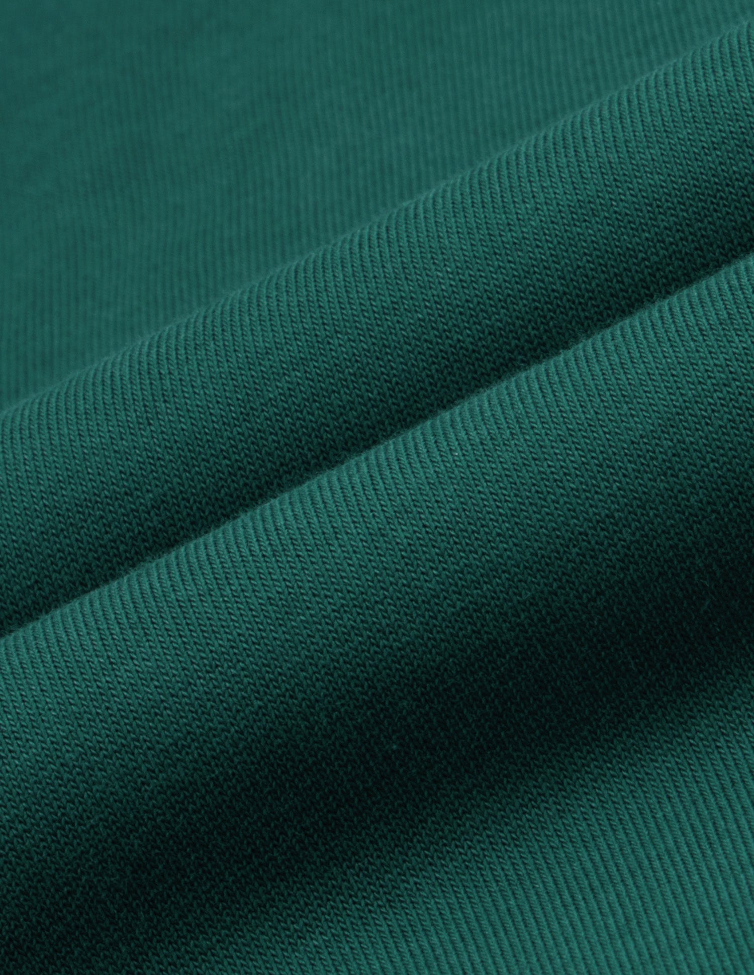 Solid Relaxed Fit Sweatshirt Dark Green - U.S. Polo Assn. India | Large
