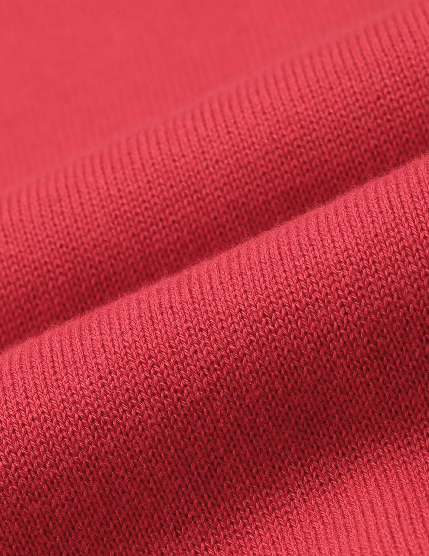 Relaxed Fit Solid Polo Shirt Red - U.S. POLO ASSN. | Large