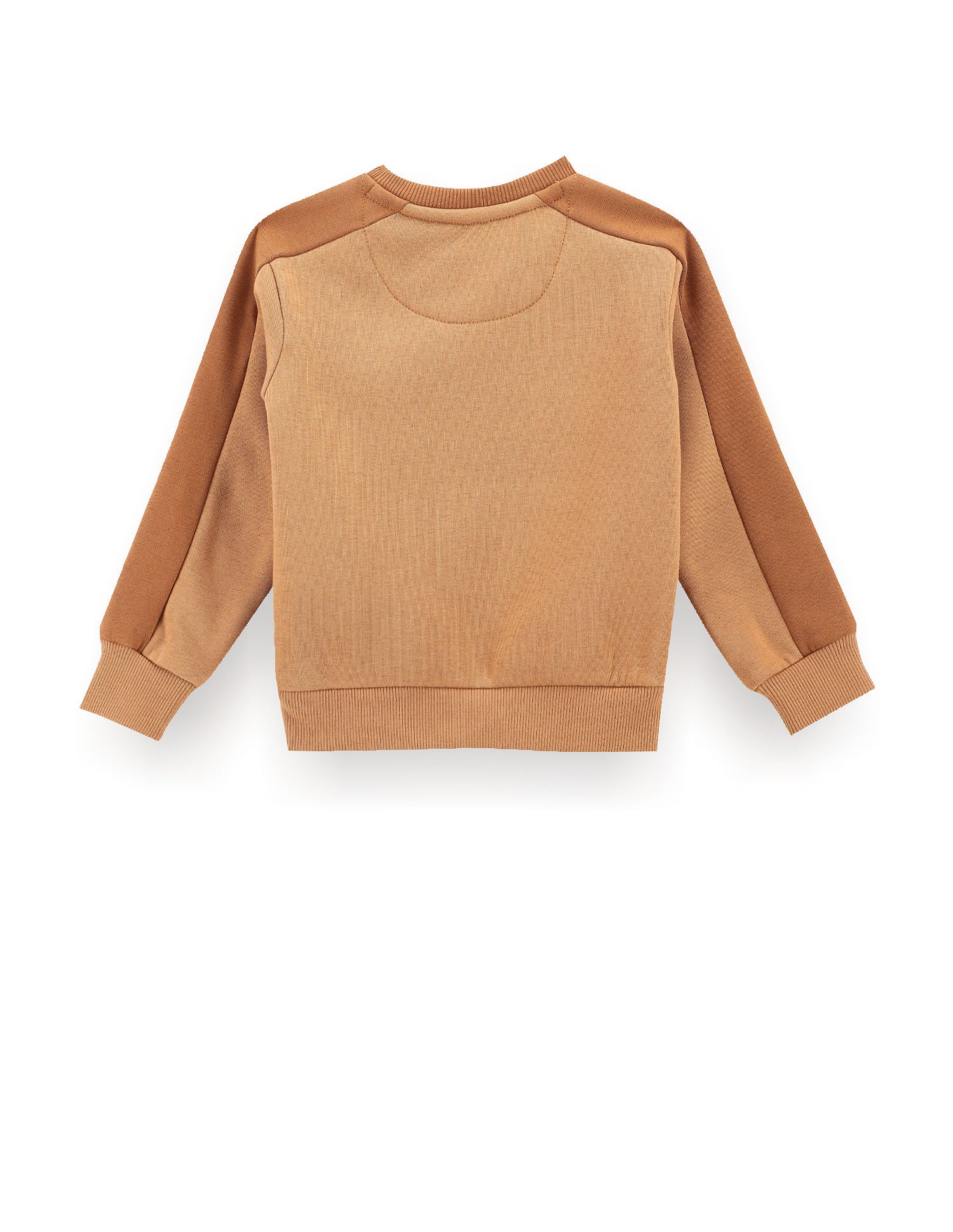 Boys Brand Embroidered Sweatshirt Brown - U.S. POLO ASSN. | Large