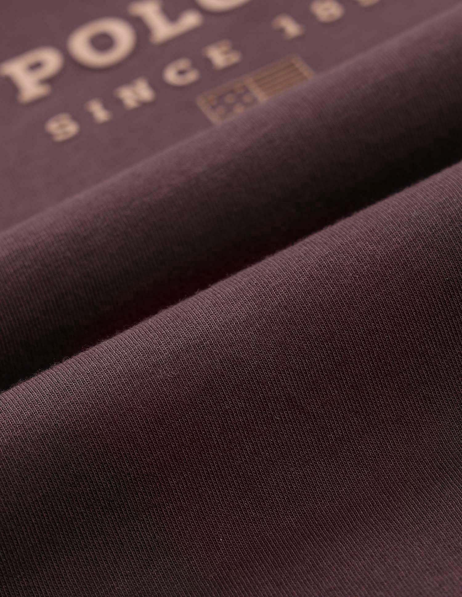 Brand Printed Slim Fit T-Shirt Dark Brown - U.S. POLO ASSN. | Large