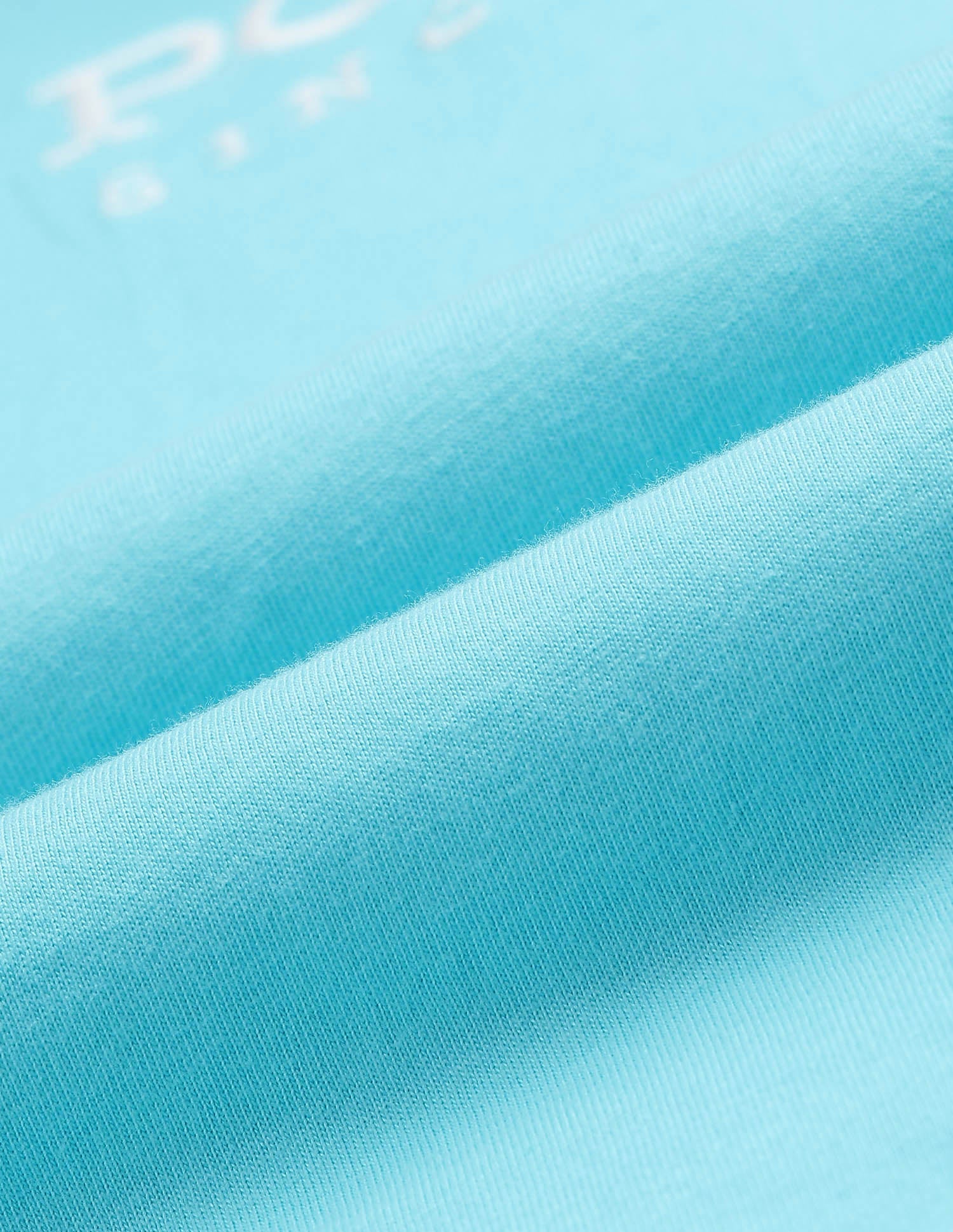 Brand Embroidered Cotton T-Shirt Aqua - U.S. POLO ASSN. | Large