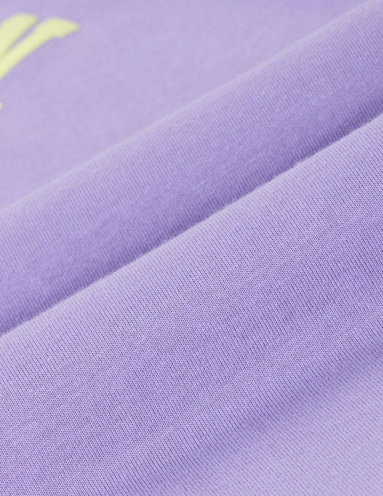 Boxy Fit Brand Printed T-Shirt Lavender - U.S. POLO ASSN. | Large