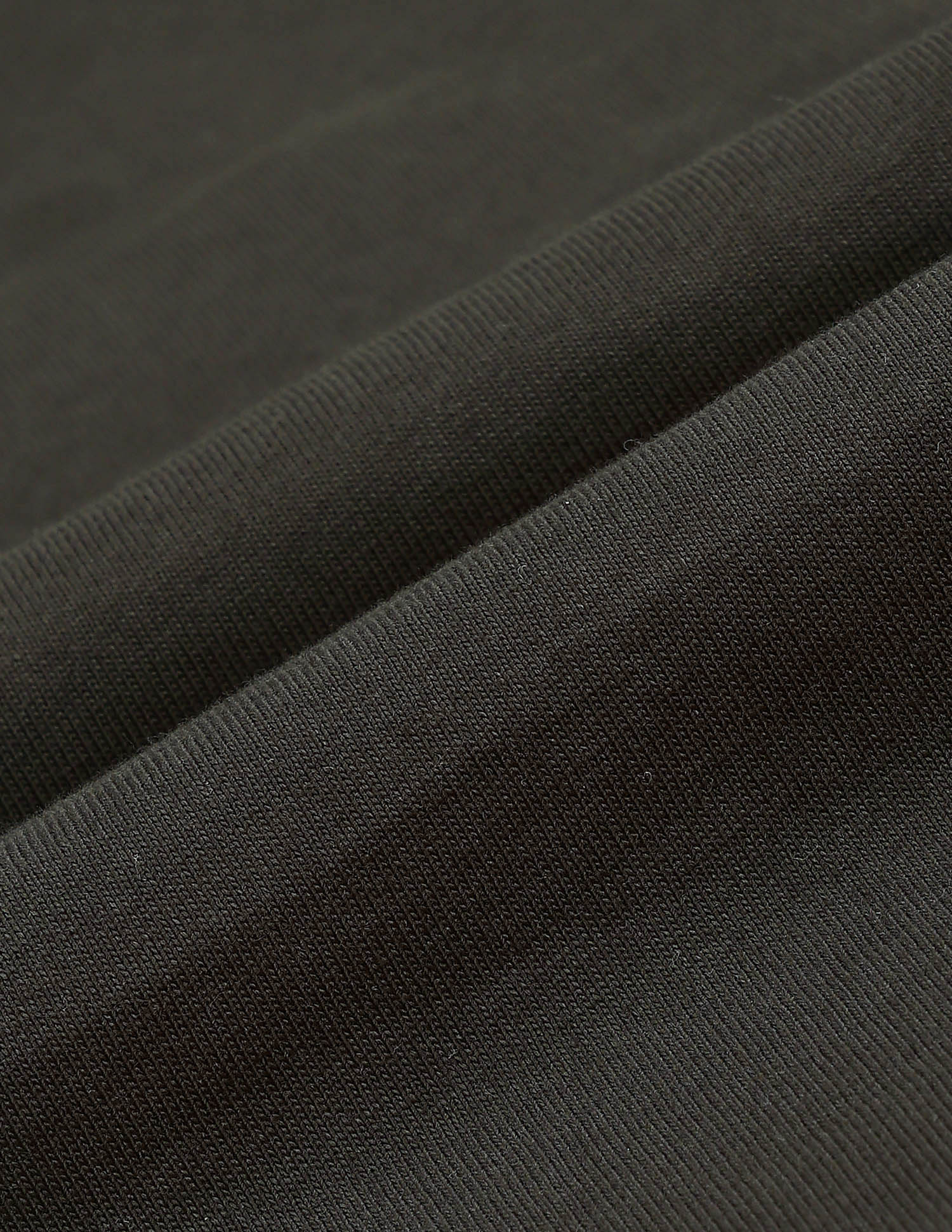 Graphic Printed Regular Fit T Shirt Olive - U.S. POLO ASSN. | Large