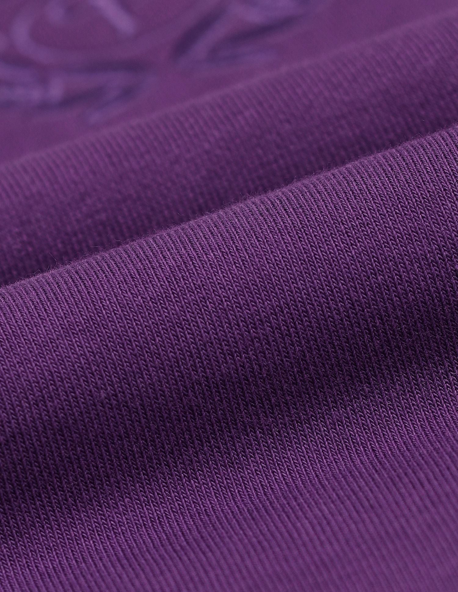 Drop Shoulder Embroidered Sweatshirt Purple - U.S. POLO ASSN. | Large