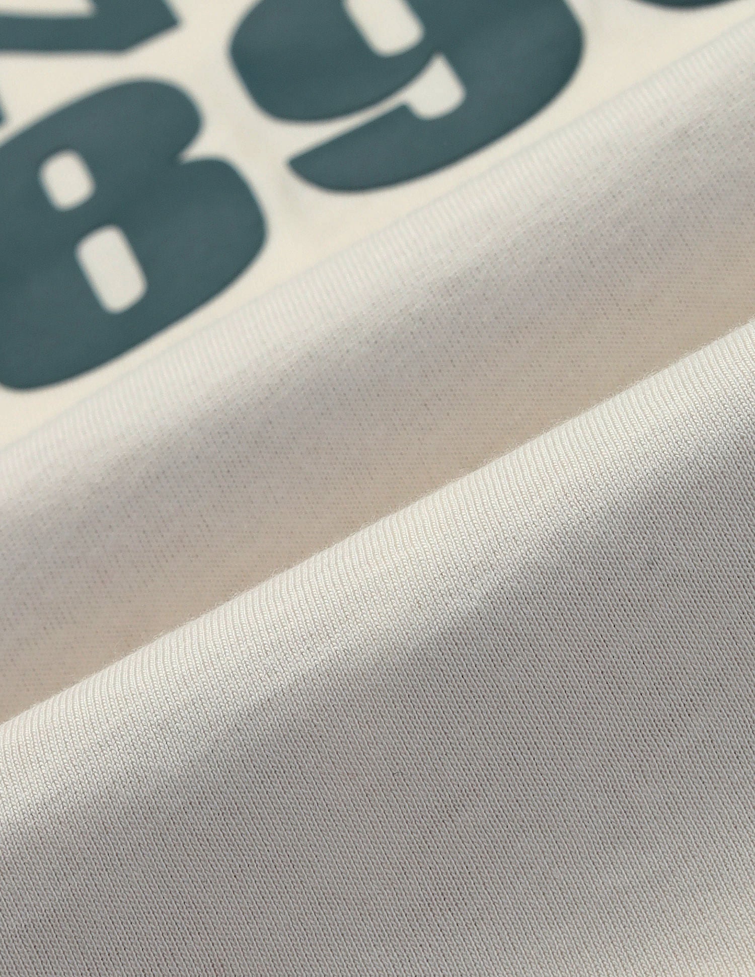Typographic Print Muscle Fit T-Shirt White - U.S. Polo Assn. India | Large