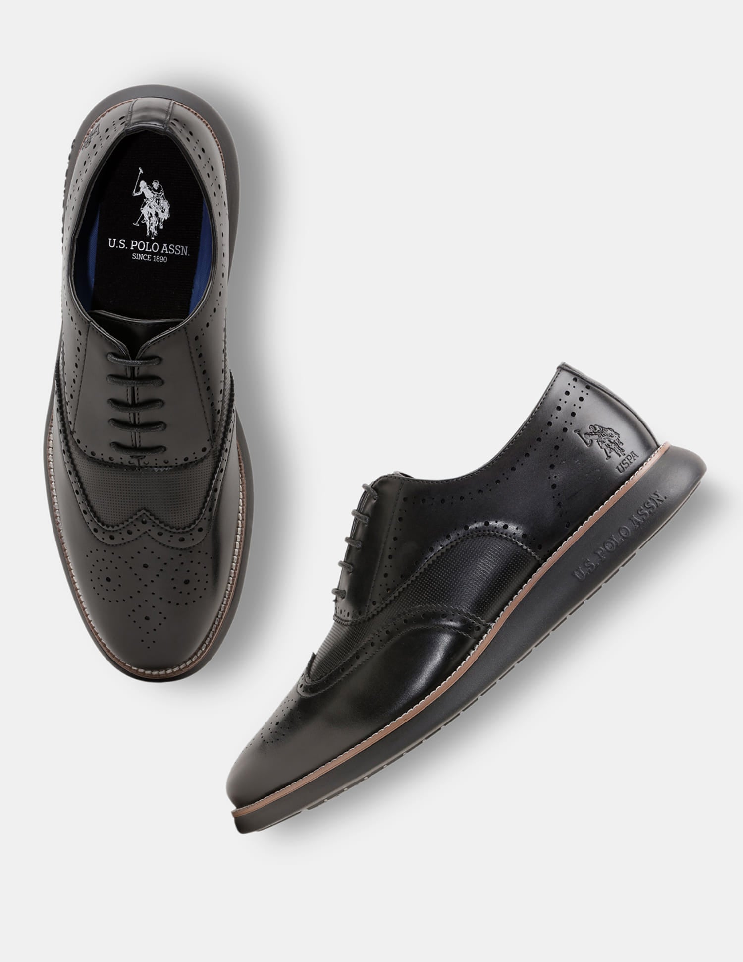 Round Toe Wingtip Marco 2.0 Brogues Black - U.S. Polo Assn. India | Large