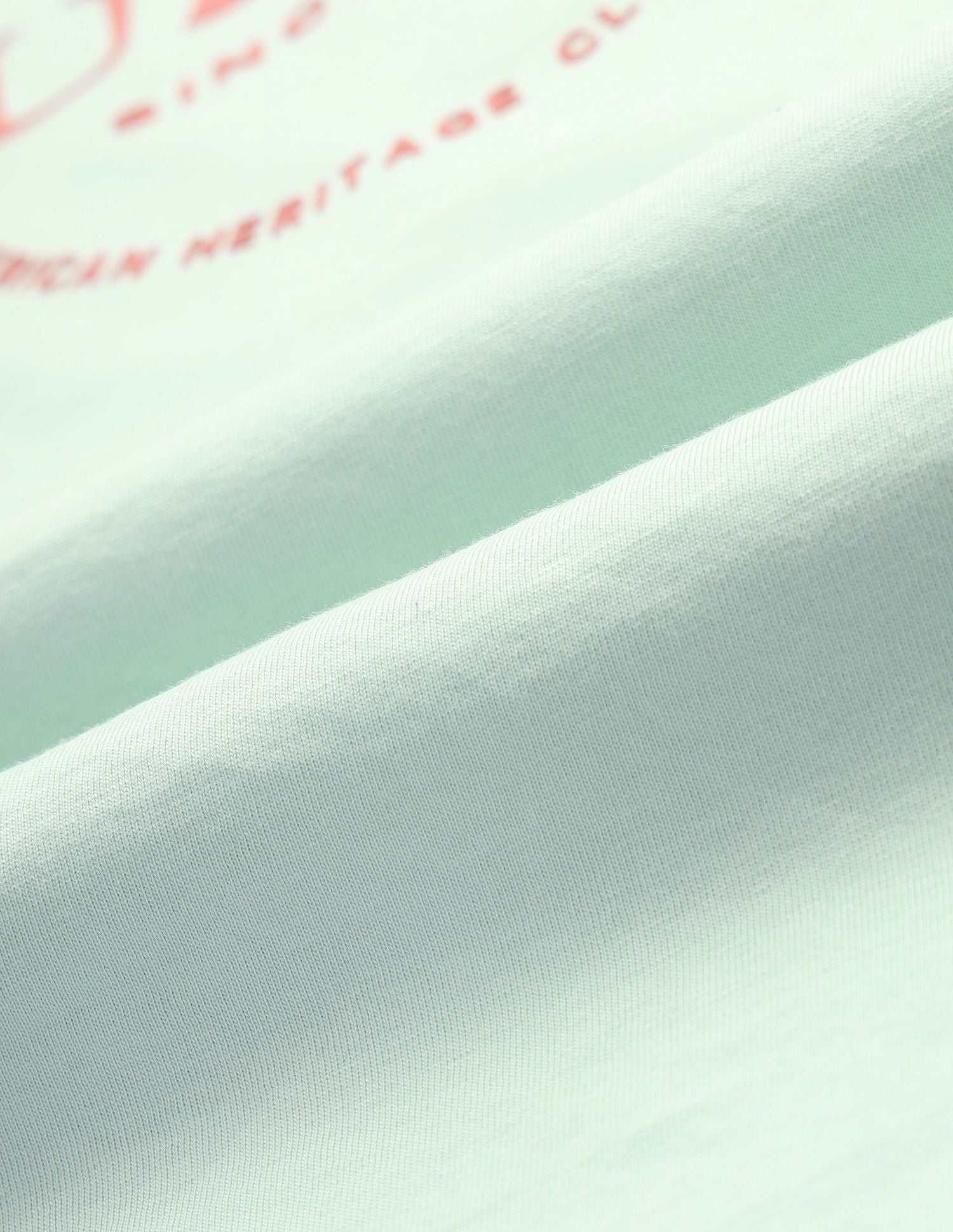 HD Print Regular Fit T-Shirt Mint - U.S. POLO ASSN. | Large