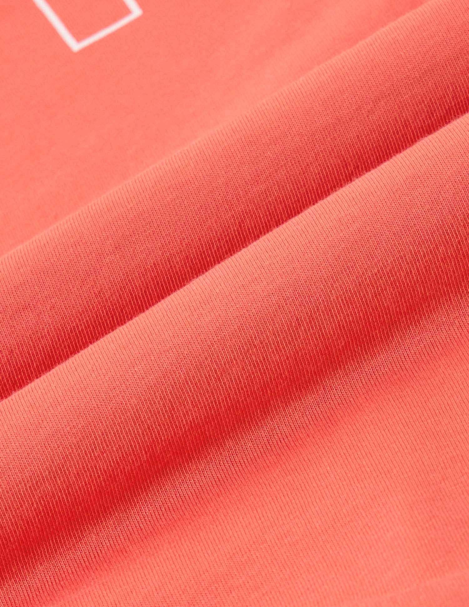 Boyfriend Fit Brand Printed T-Shirt Coral - U.S. POLO ASSN. | Large