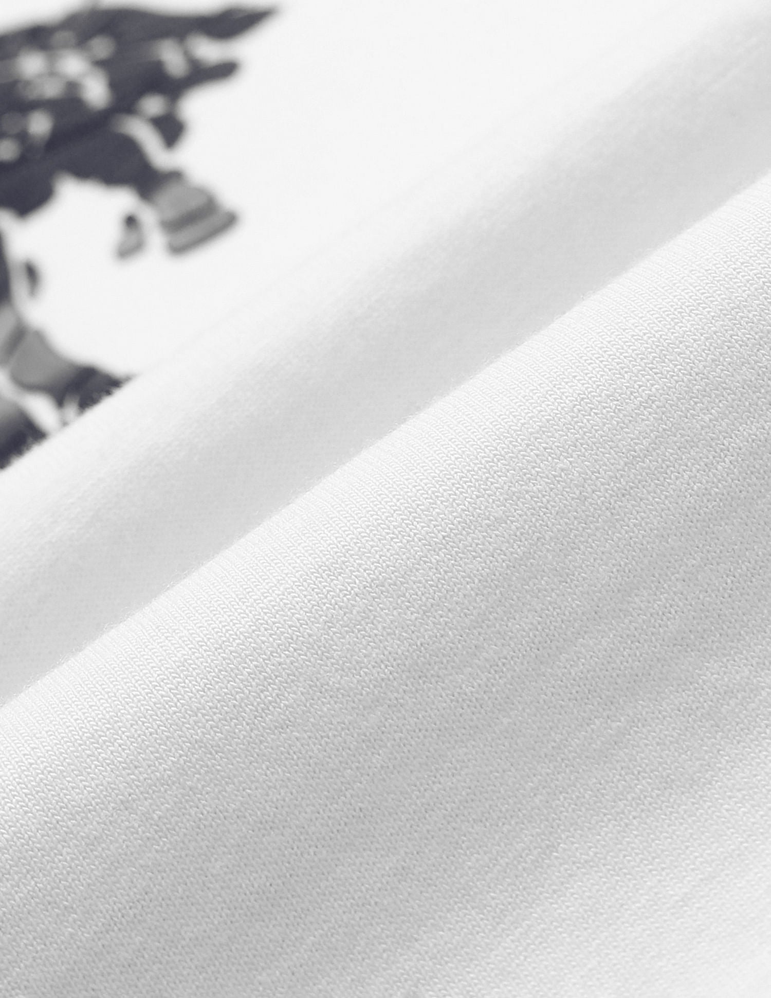 Brand Print Slim T-Shirt White - U.S. POLO ASSN. | Large