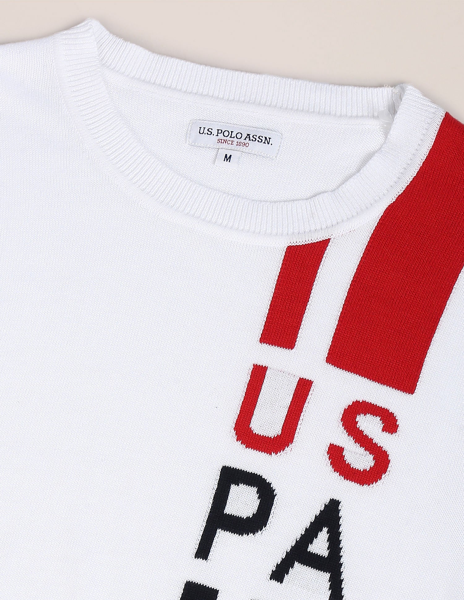 Crew Neck Patterned Knit Sweater White - U.S. Polo Assn. India | Large