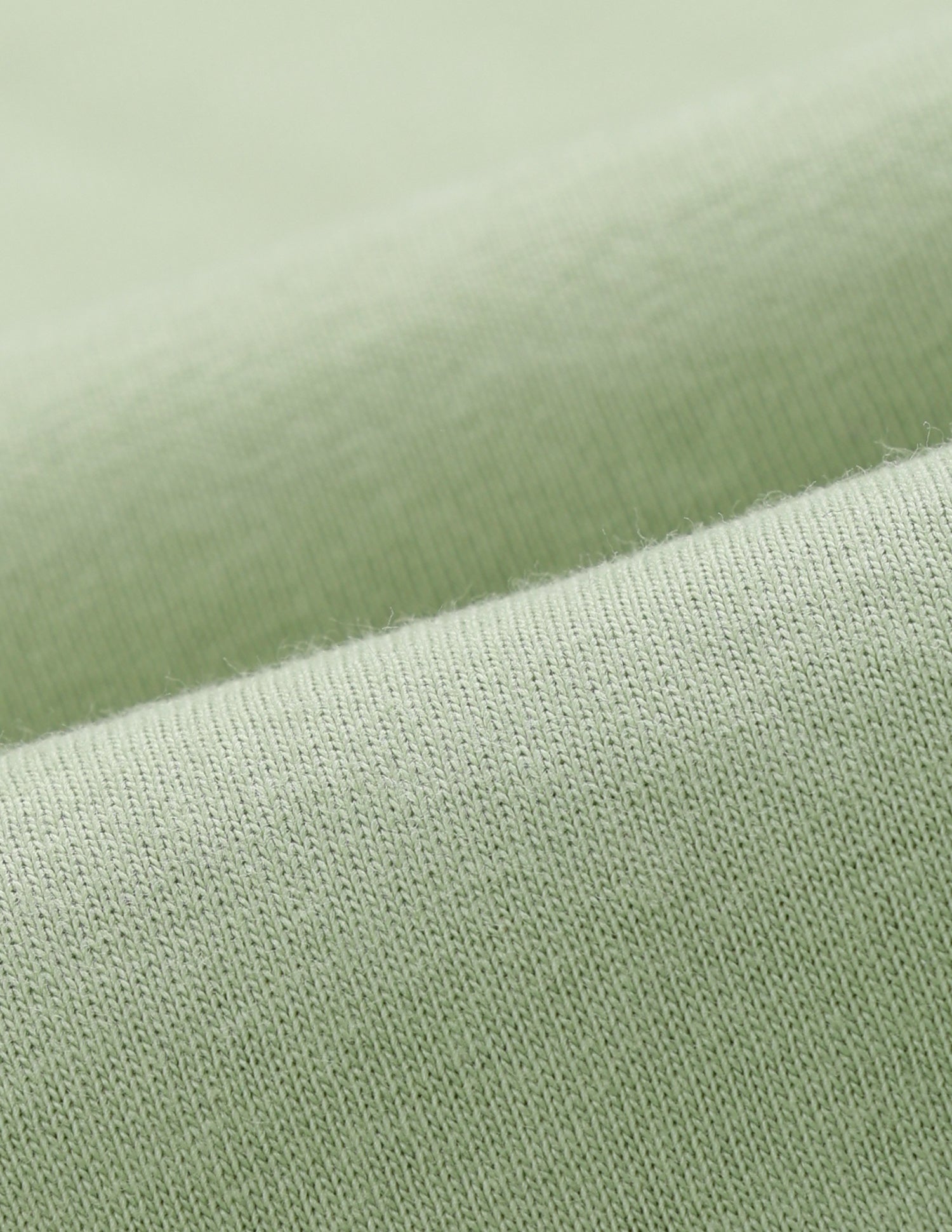 Brand Printed Regular Fit T-shirt Light Olive - U.S. POLO ASSN. | Large