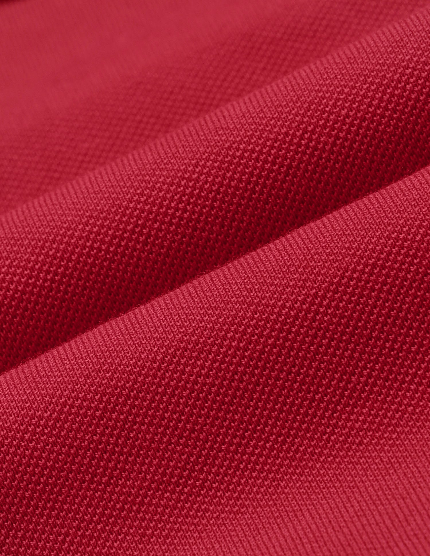 Solid Regular Fit Polo Shirt Red - U.S. Polo Assn. India | Large