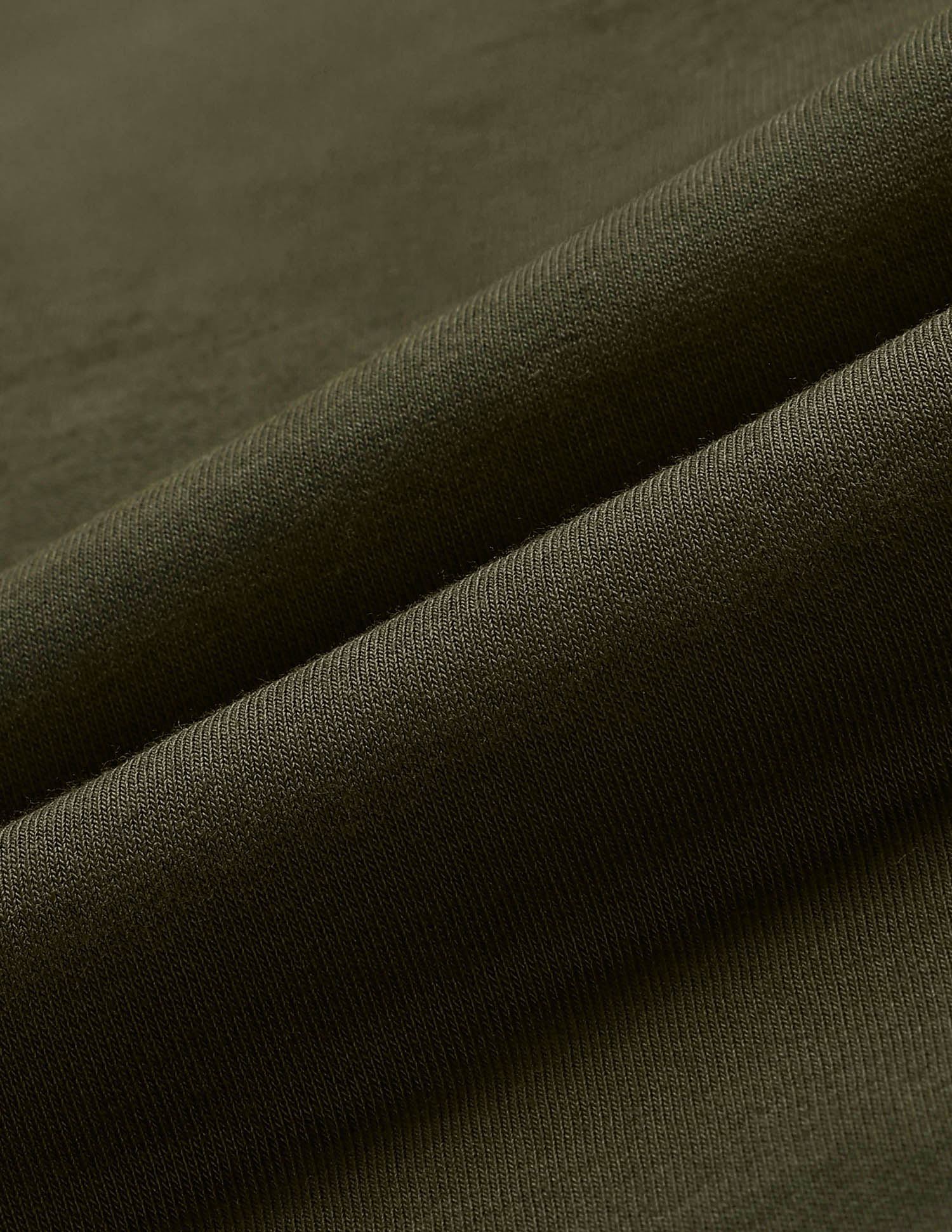 Solid Regular Fit Track Pants Olive - U.S. POLO ASSN. | Large