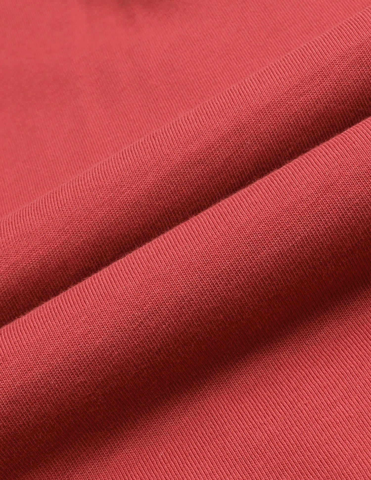 Henley Neck Solid I694 Lounge T-Shirt - Pack Of 1 Cinnabar - U.S. Polo Assn. India | Large