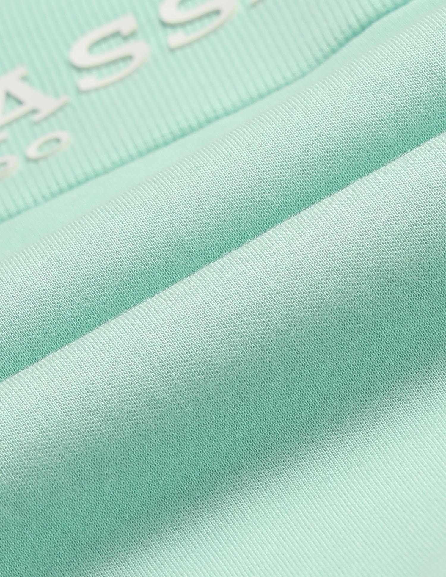 Boys Brand Embossed Regular Fit Sweatshirt Light Green - U.S. POLO ASSN. | Large