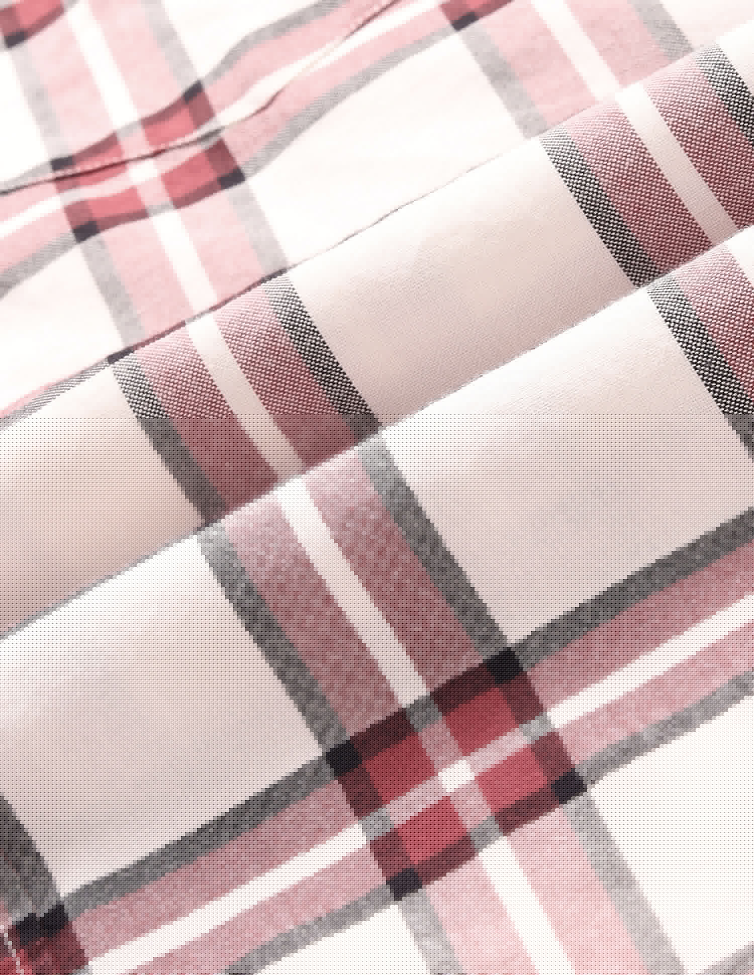 Tailored Fit Checked Shirt Off White - U.S. Polo Assn. India | Large