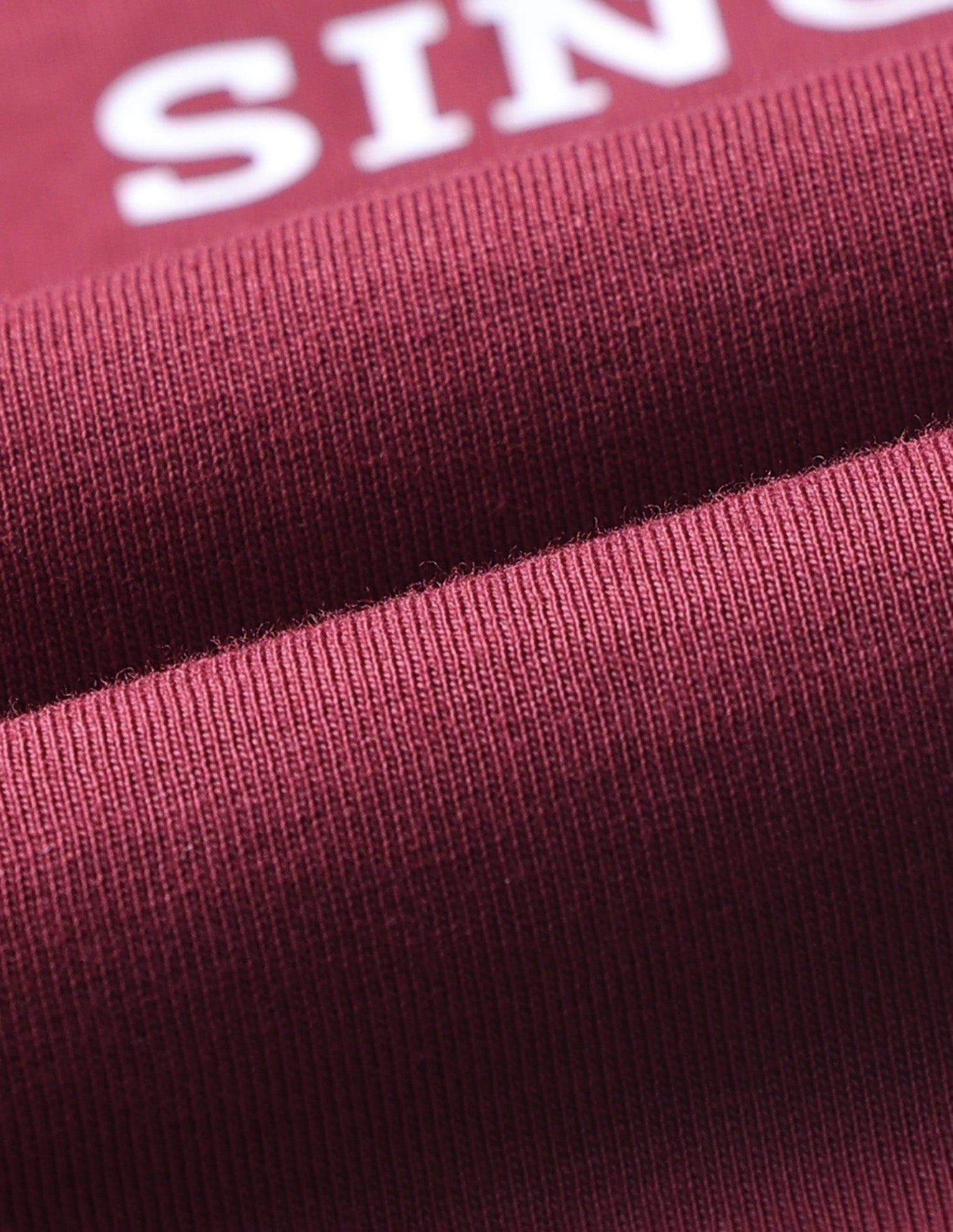 Brand Printed Slim Fit T-Shirt Maroon - U.S. POLO ASSN. | Large