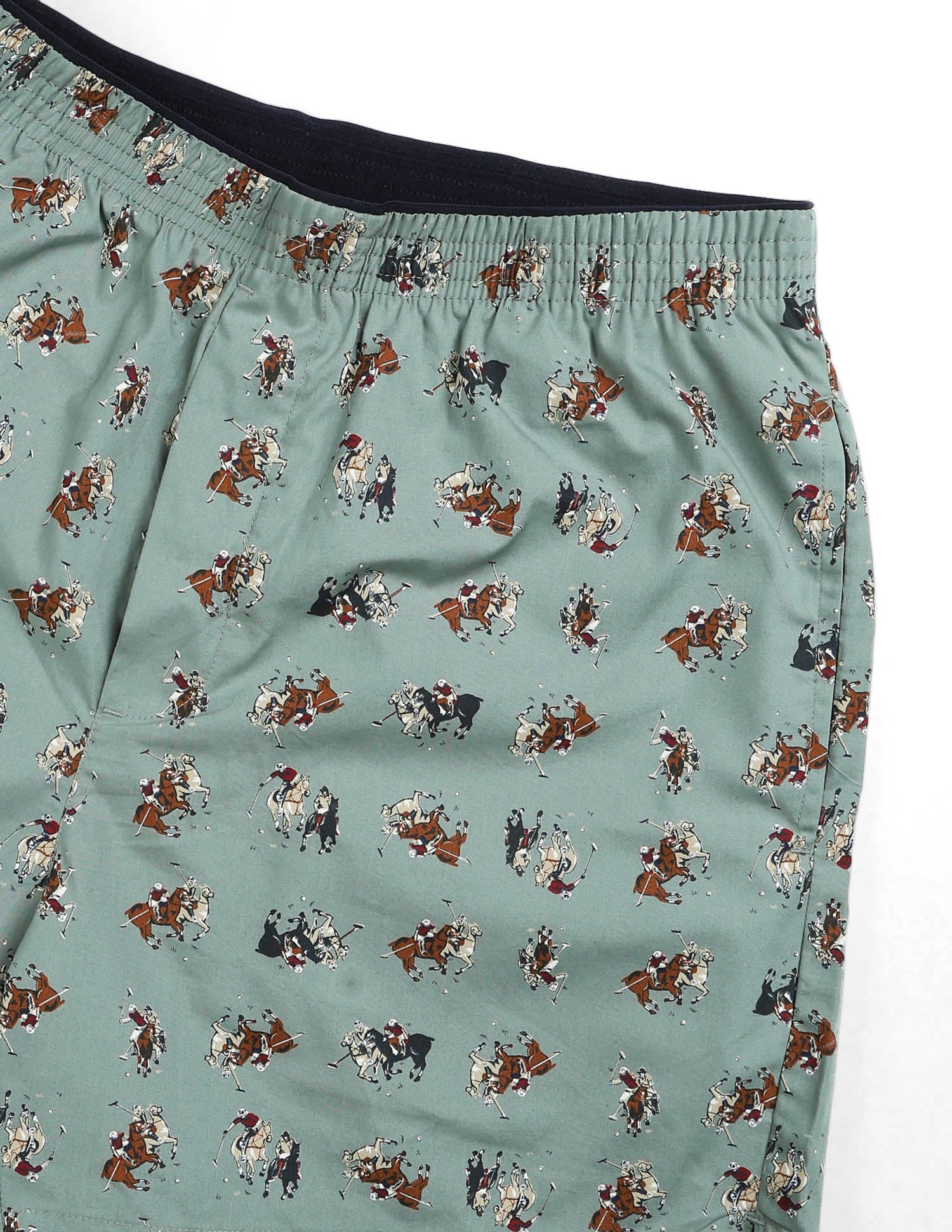 Pure Cotton Printed OEX11 Boxers - Pack Of 1 Sage Green - U.S. POLO ASSN. | Large