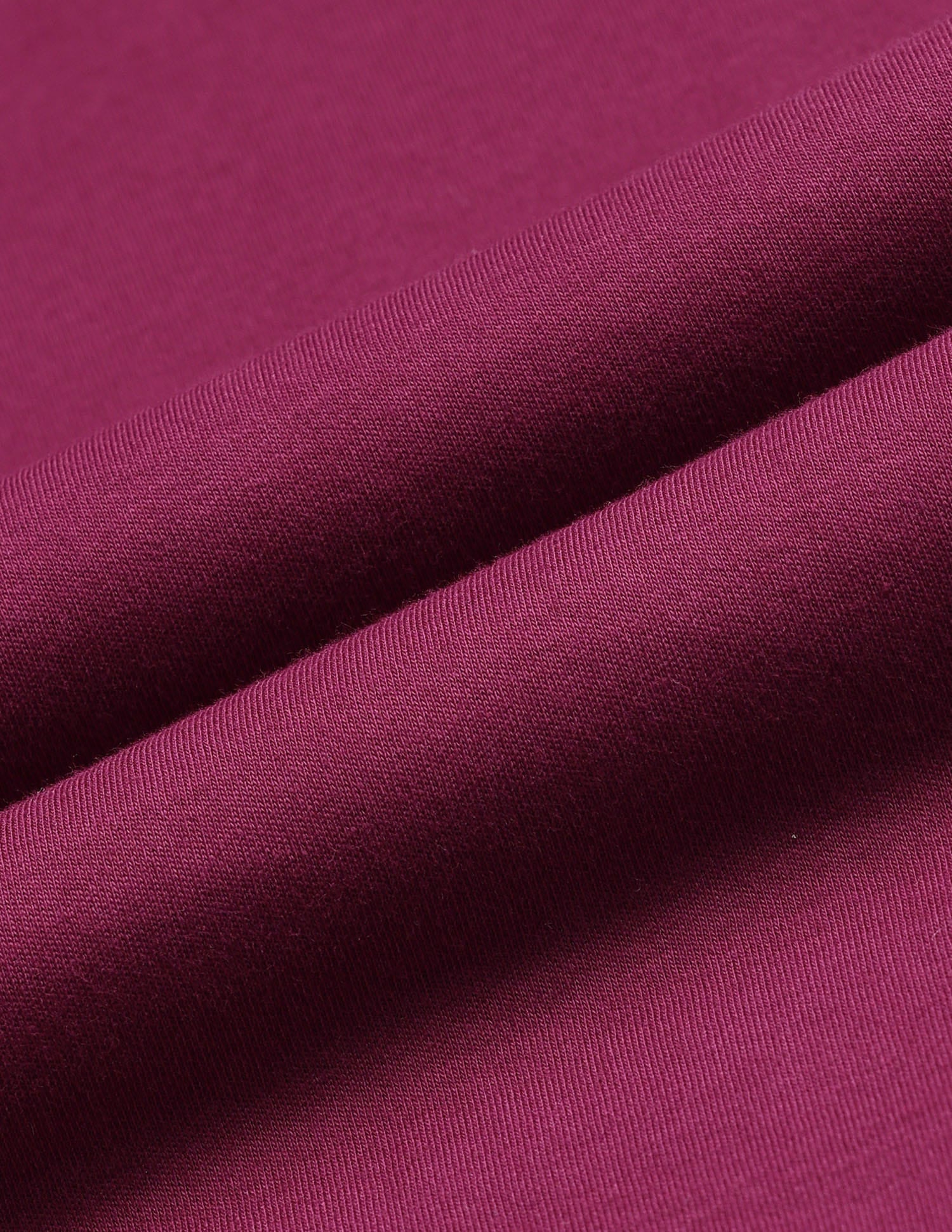 Regular Fit Solid Polo Shirt Purple - U.S. Polo Assn. India | Large