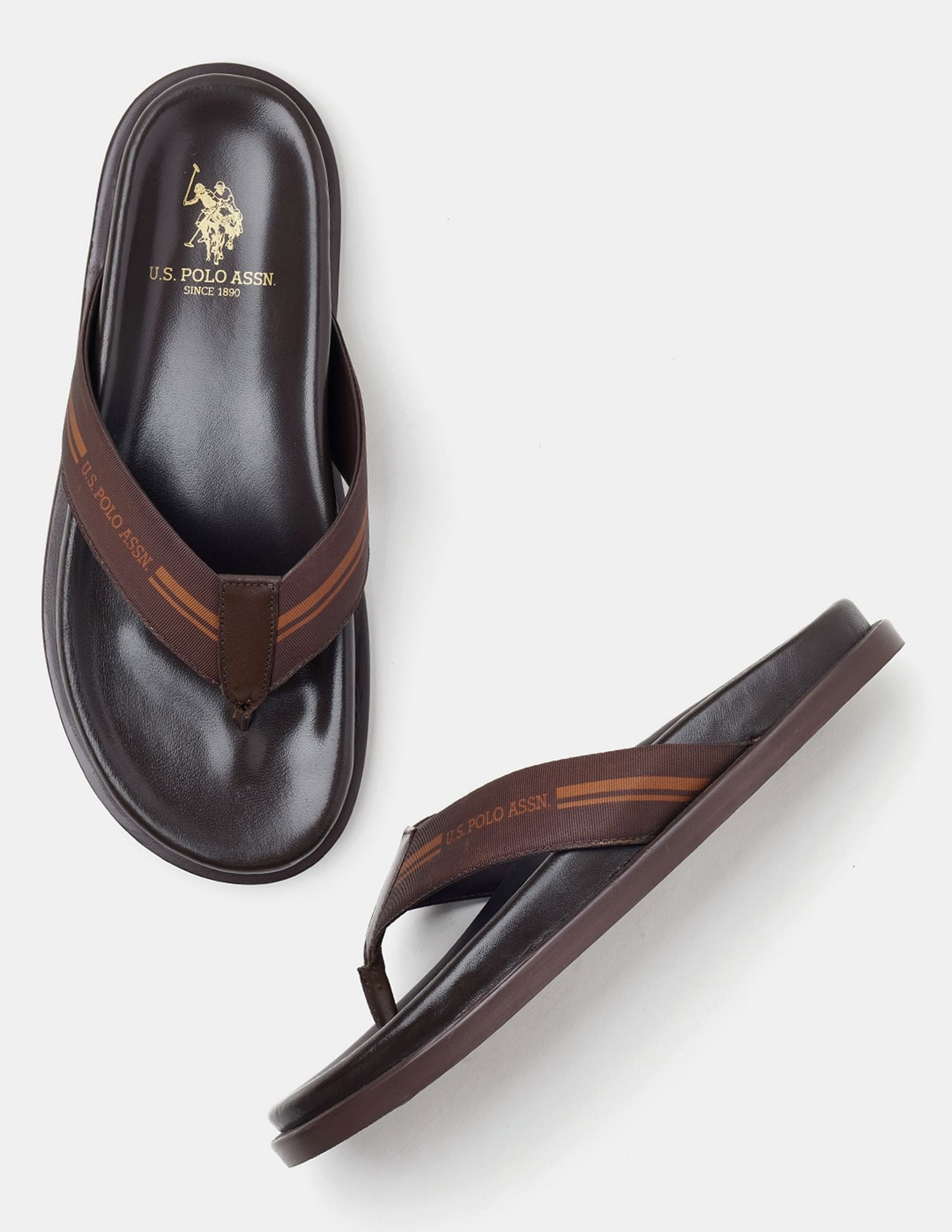 Men Paul Slippers Brown - U.S. POLO ASSN. | Large