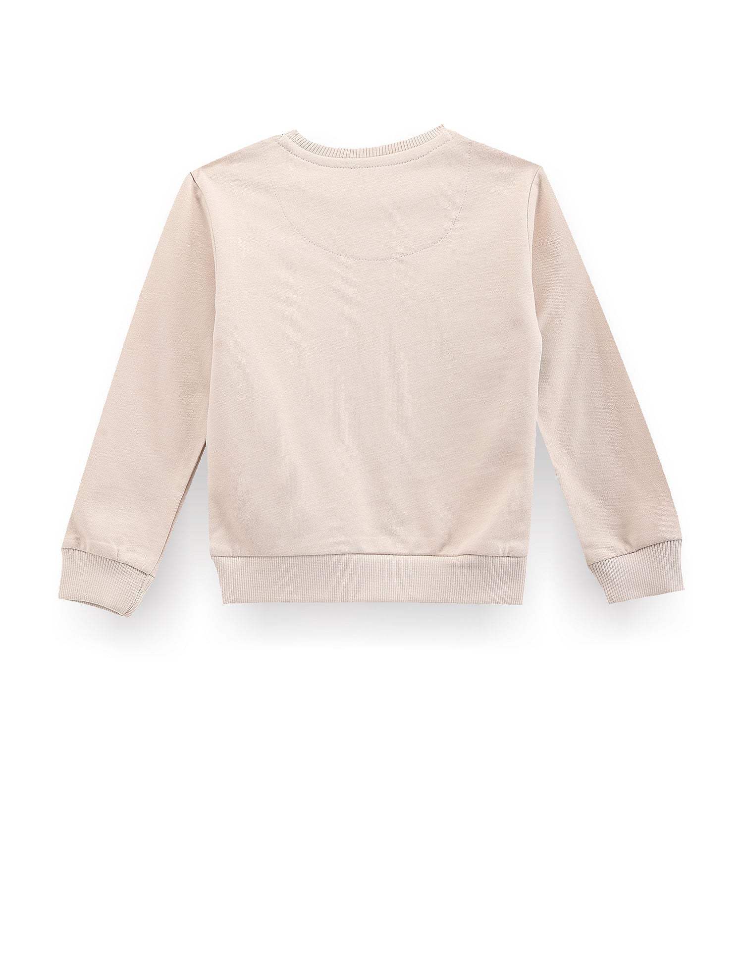 Boys Brand Print Sweatshirt Beige - U.S. Polo Assn. India | Large
