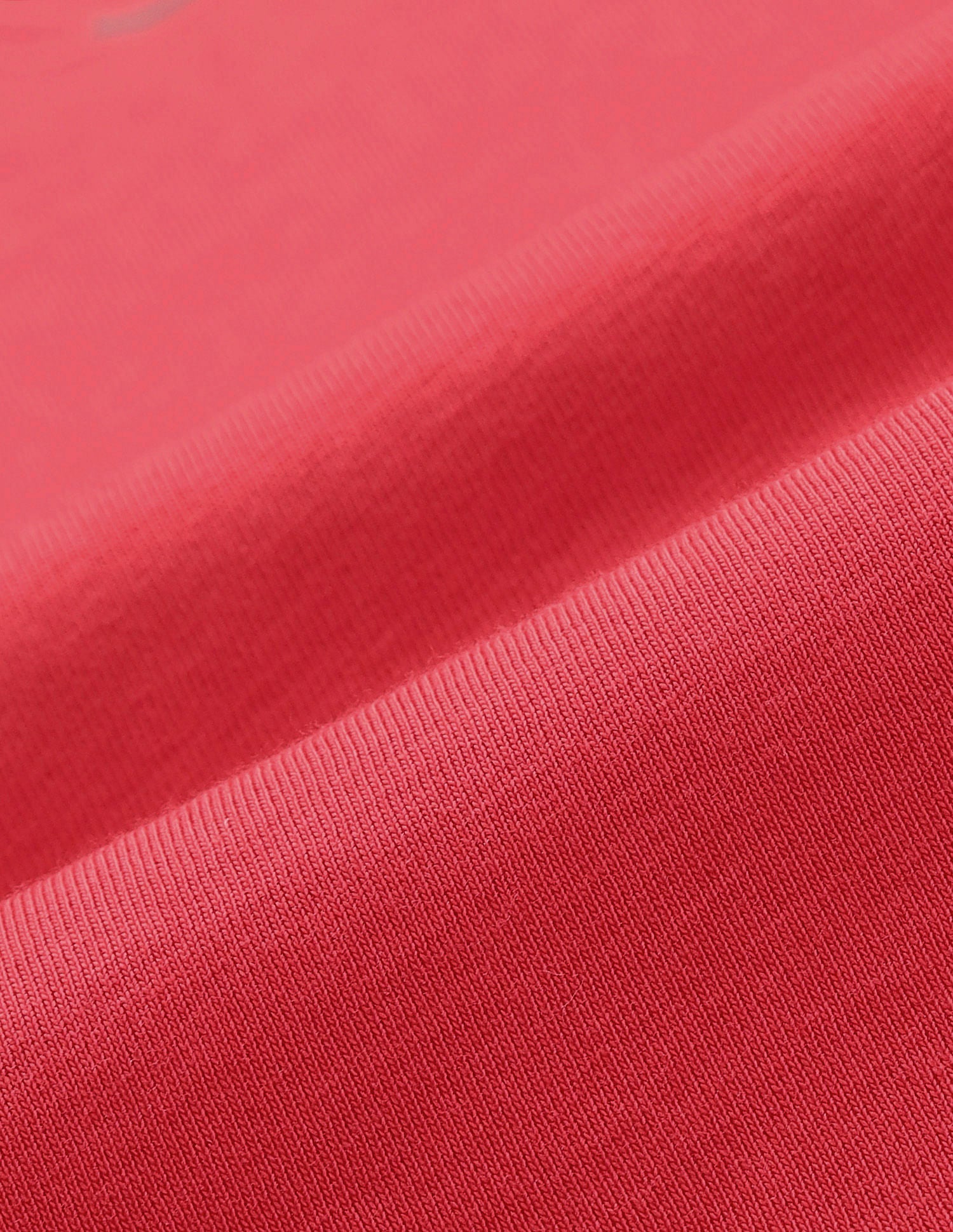 Typographic Print Crew Neck T-Shirt Pink - U.S. Polo Assn. India | Large