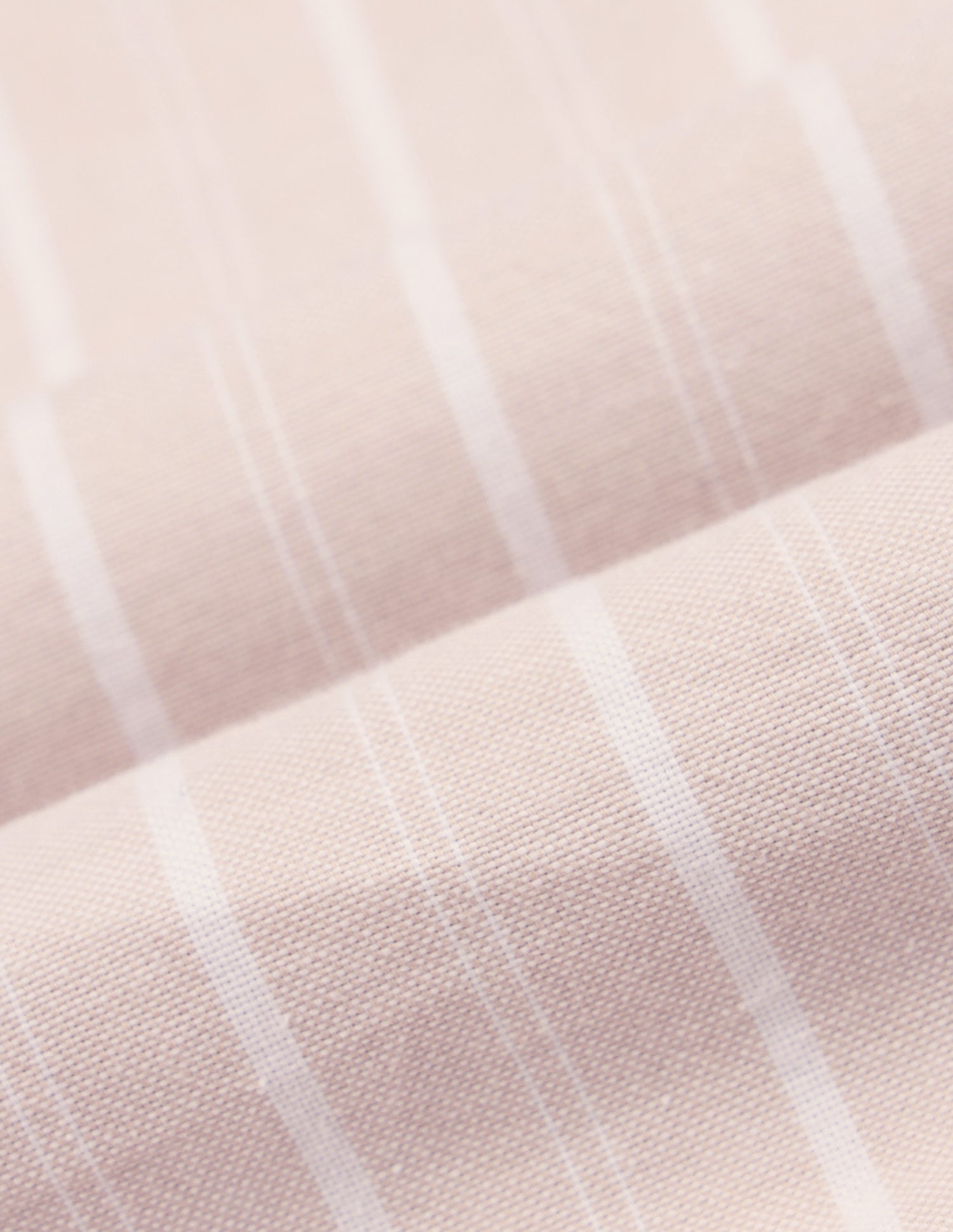 Vertical Striped Oxford Shirt Beige - U.S. Polo Assn. India | Large