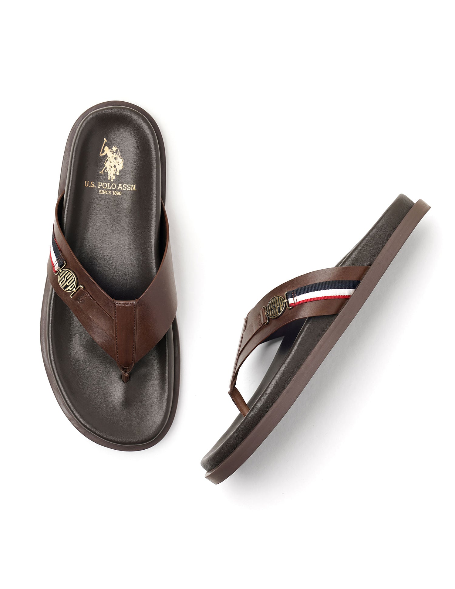 Buckle Strap Jim Sandals Brown - U.S. Polo Assn. India | Large