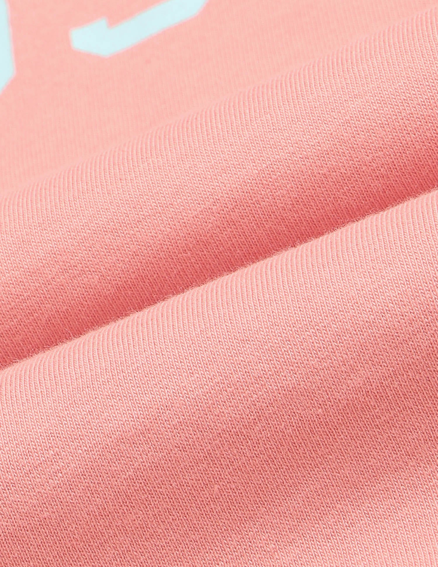 Regular Fit Brand Printed T-Shirt Pink - U.S. Polo Assn. India | Large
